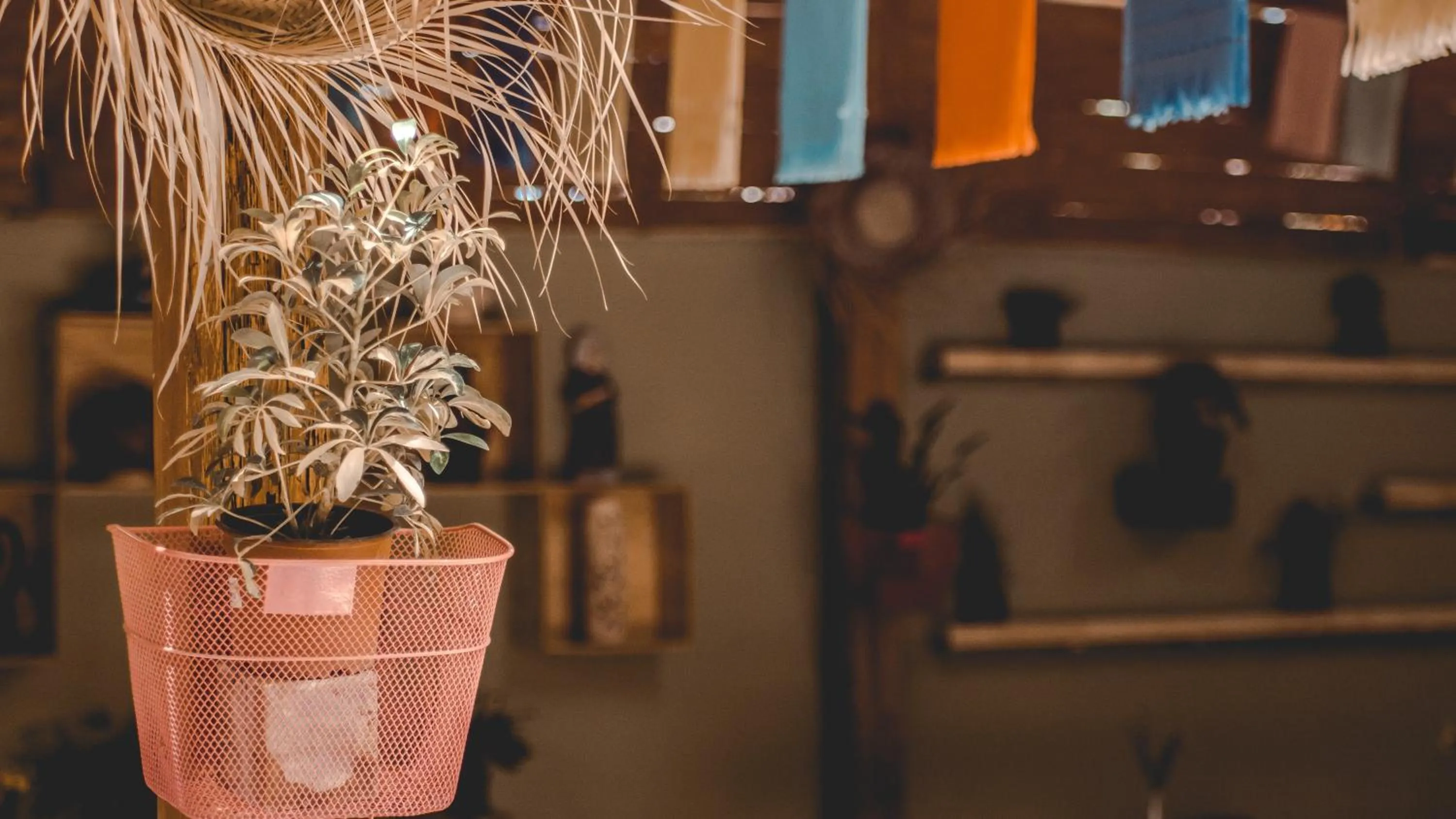 Restaurant/places to eat in Los Ciruelos Oaxaca