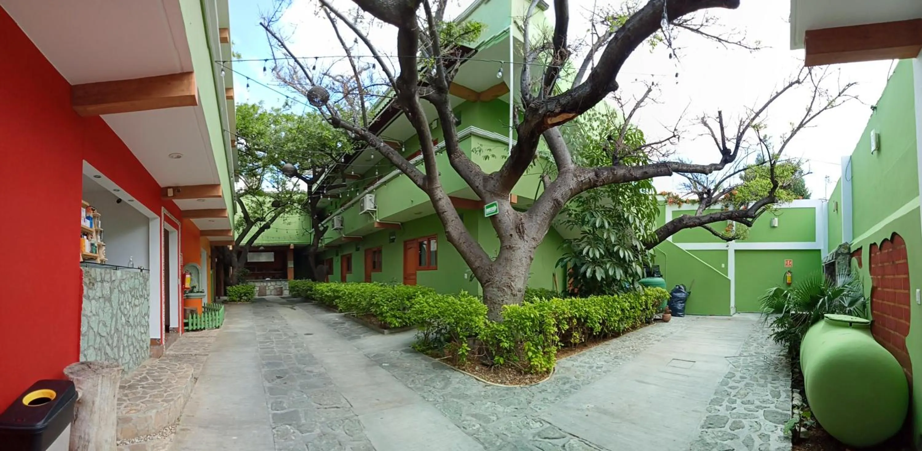 Garden in Los Ciruelos Oaxaca