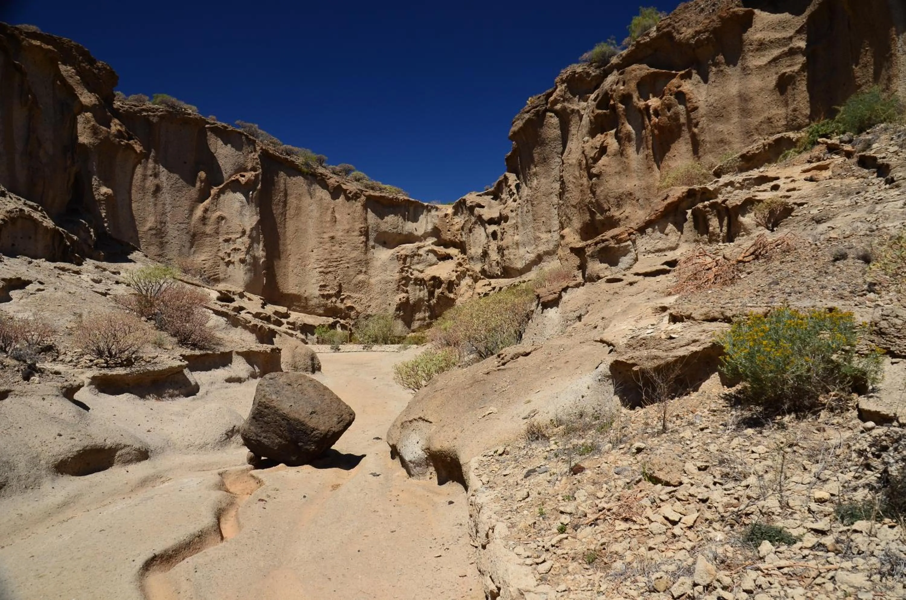 Hiking in Barceló Tenerife Royal Level