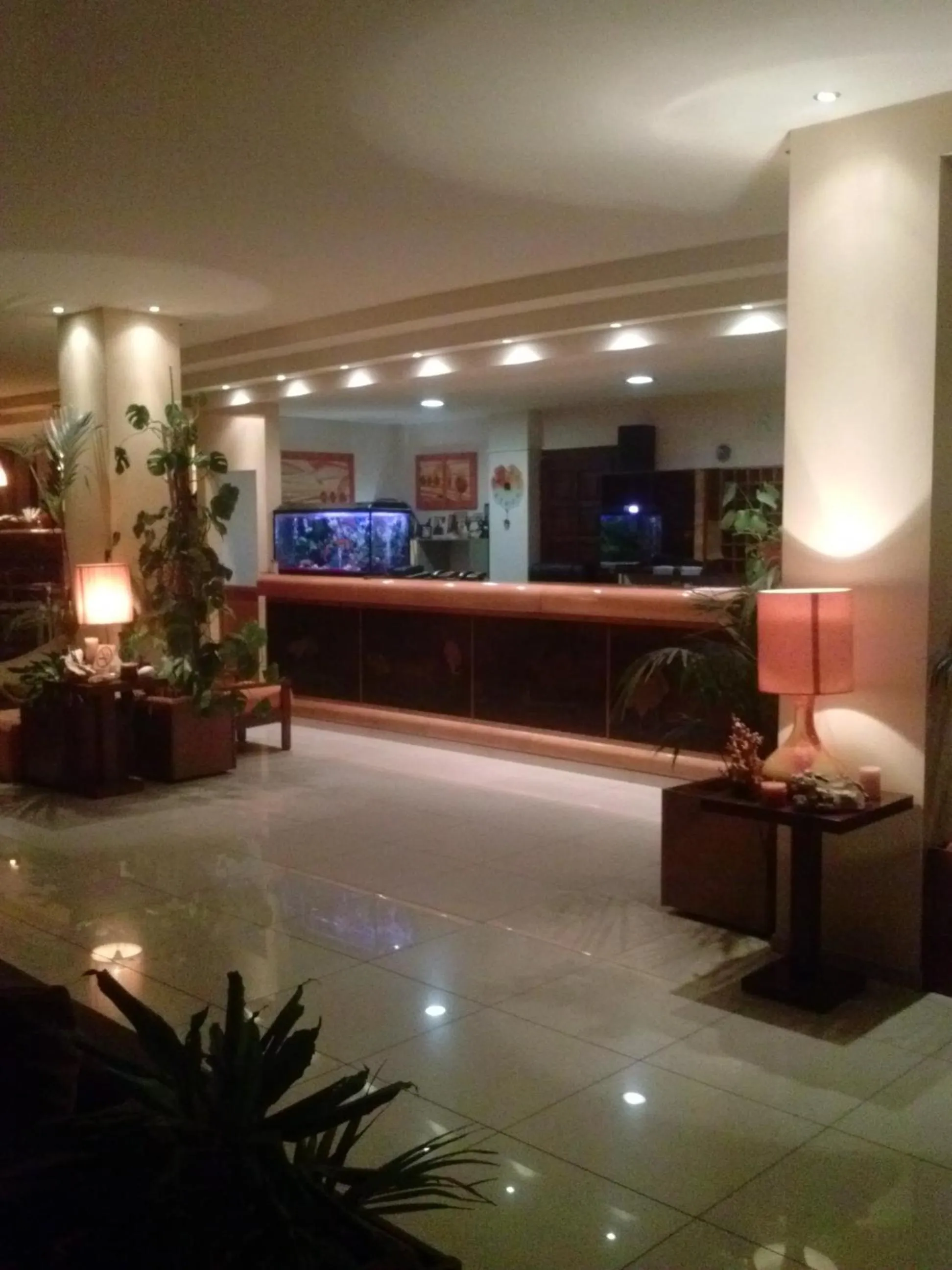 Lobby or reception in Hotel Lefkadi