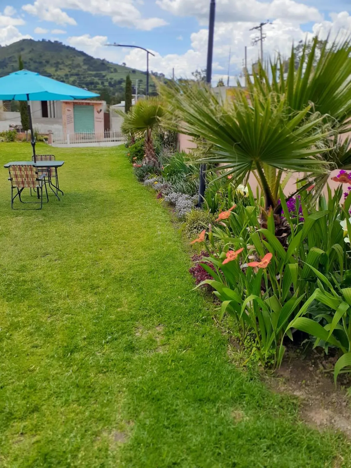 Garden view in ANBAROA VILLAS