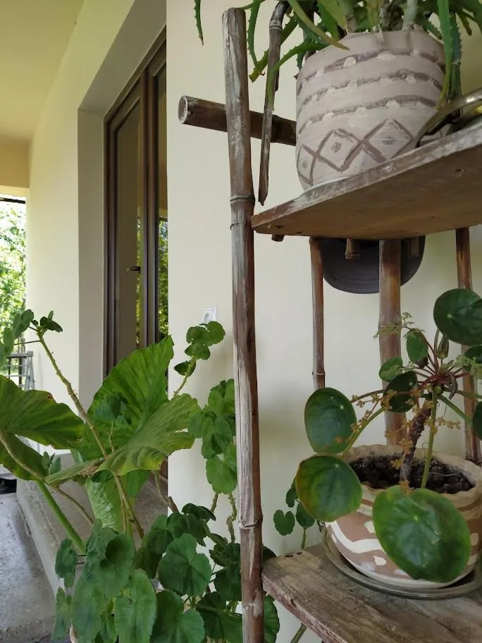 Balcony/Terrace in Shanshe