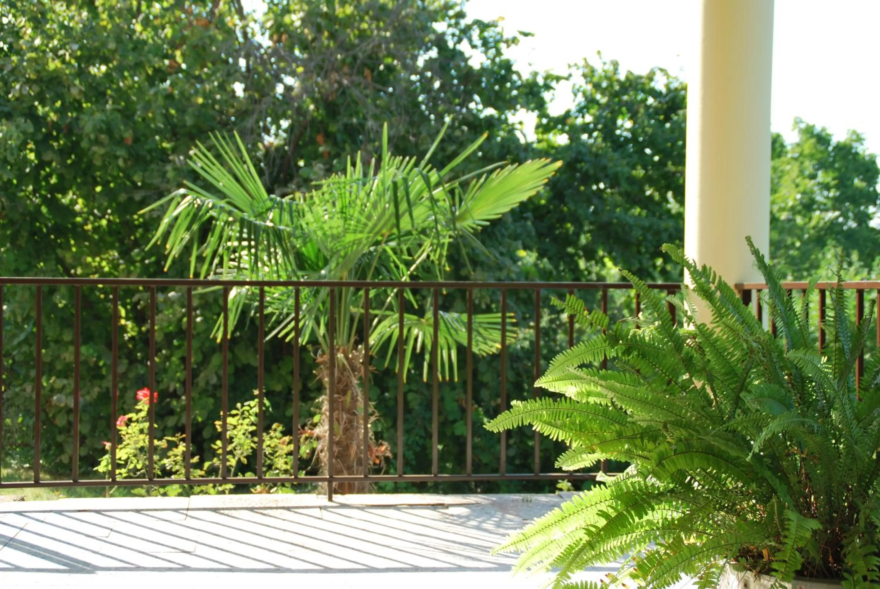 Balcony/Terrace in Shanshe