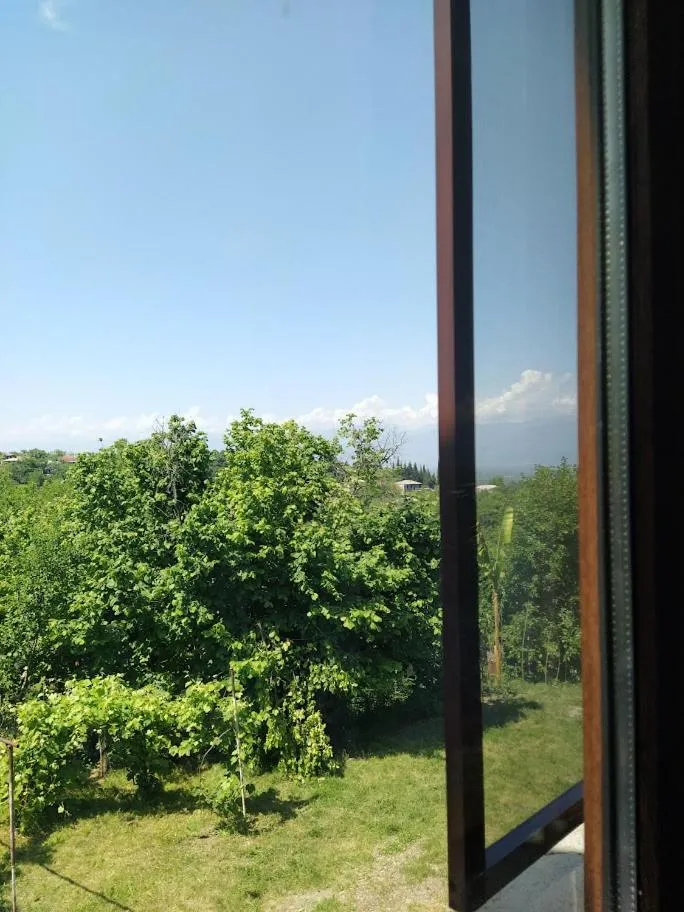 Garden view in Shanshe