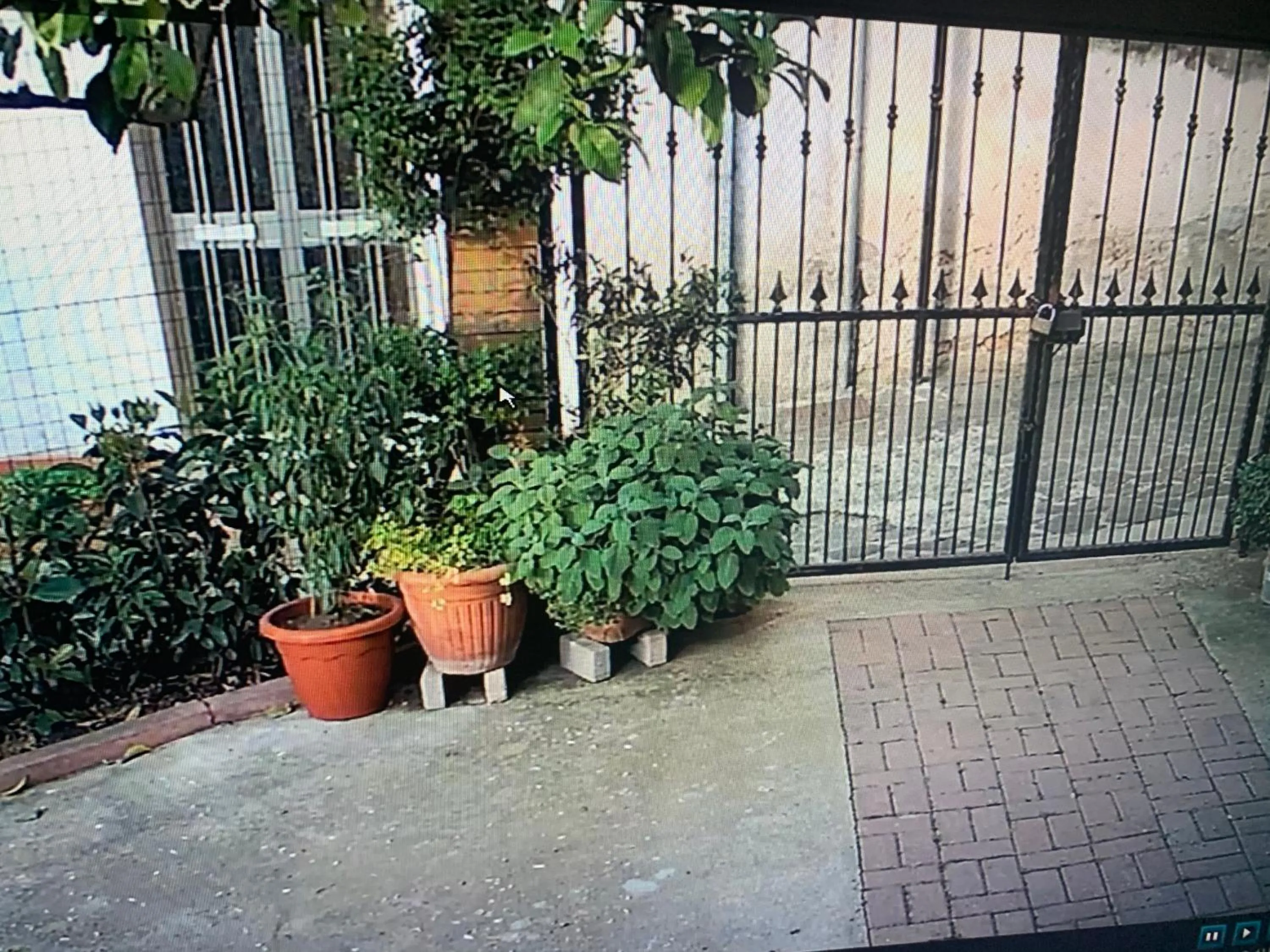 Garden in B&B IV Vico