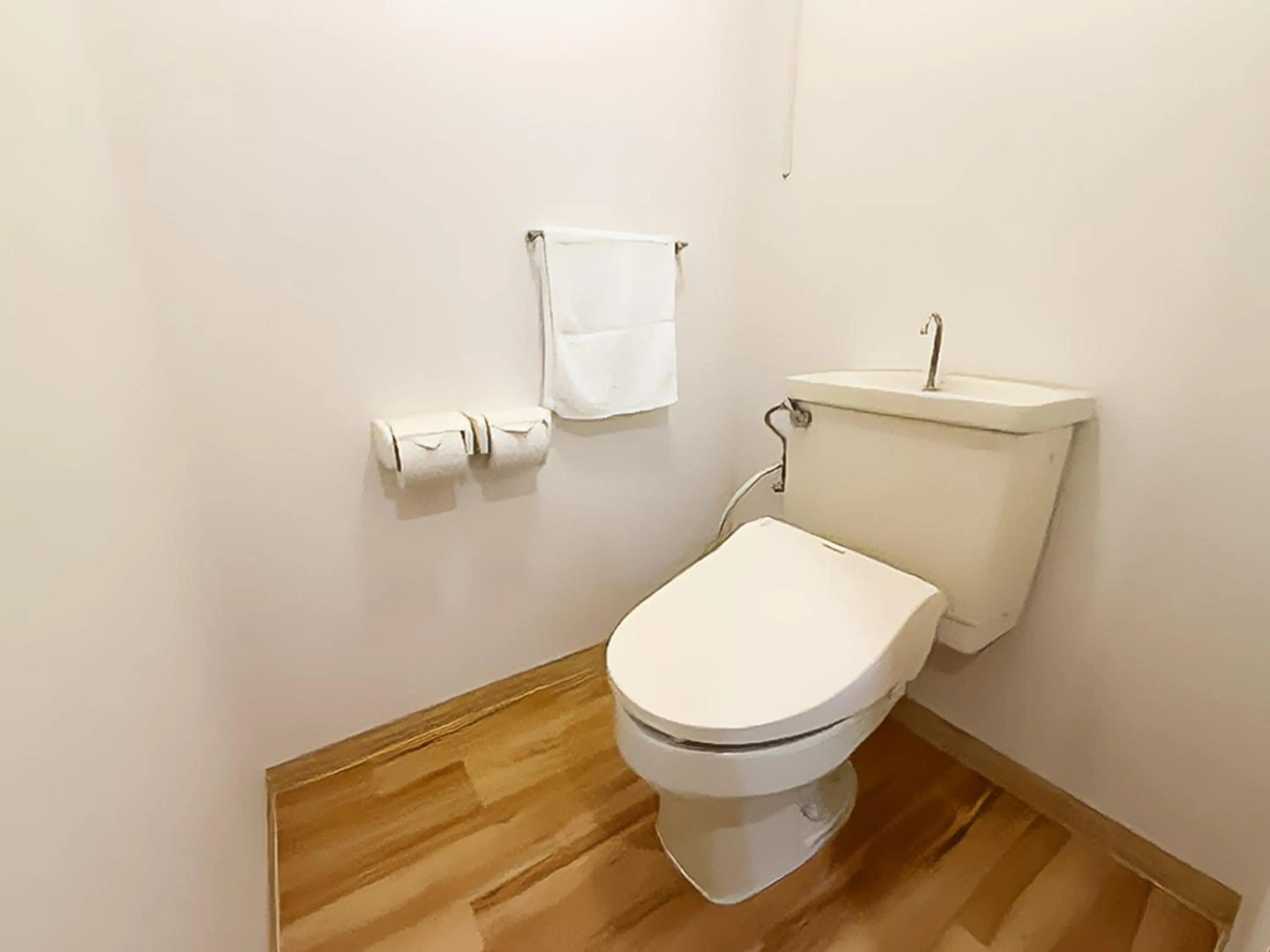 Toilet in Hotel Abest Sapporo