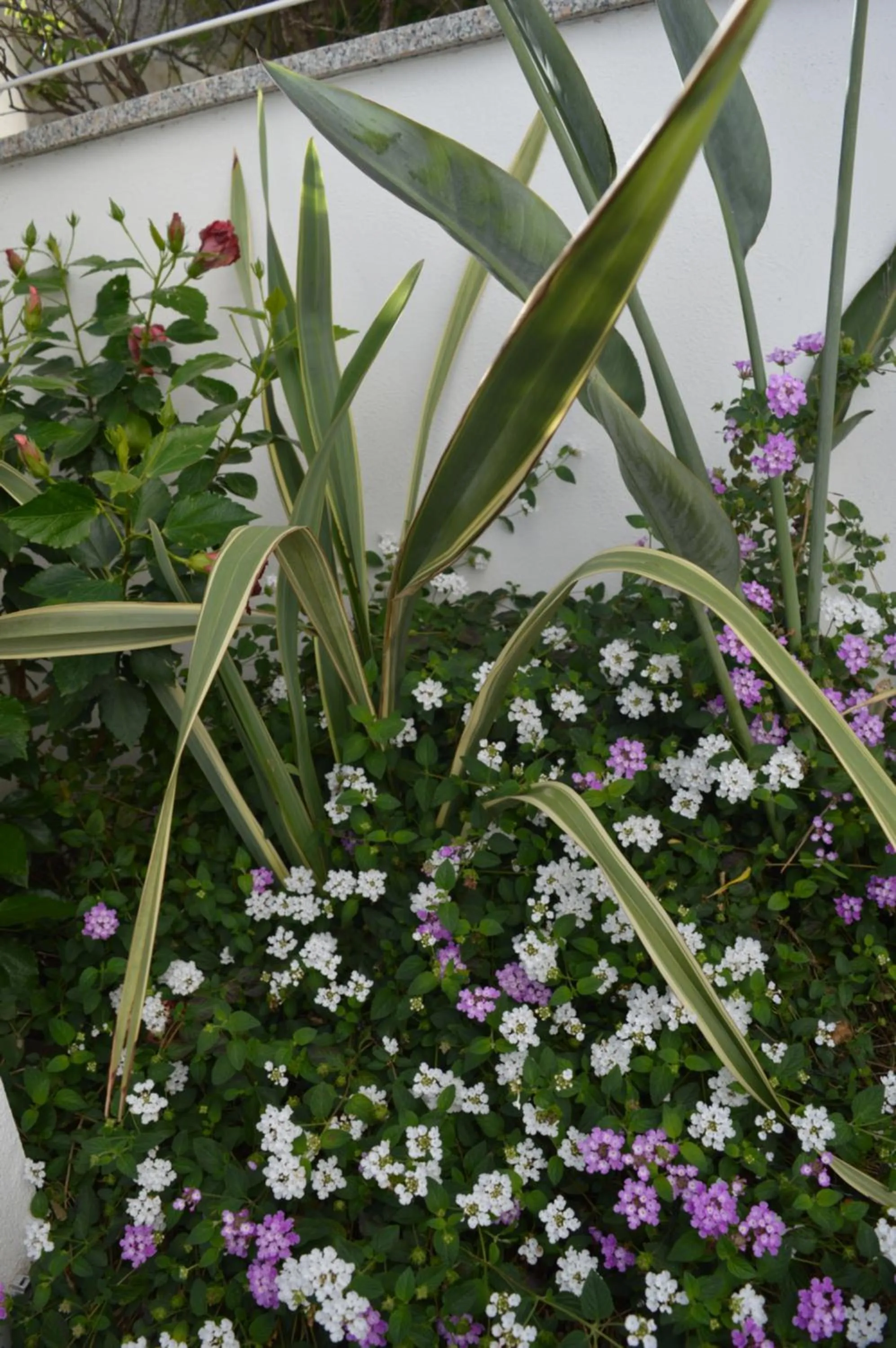 Bed and breakfast Villa Tota