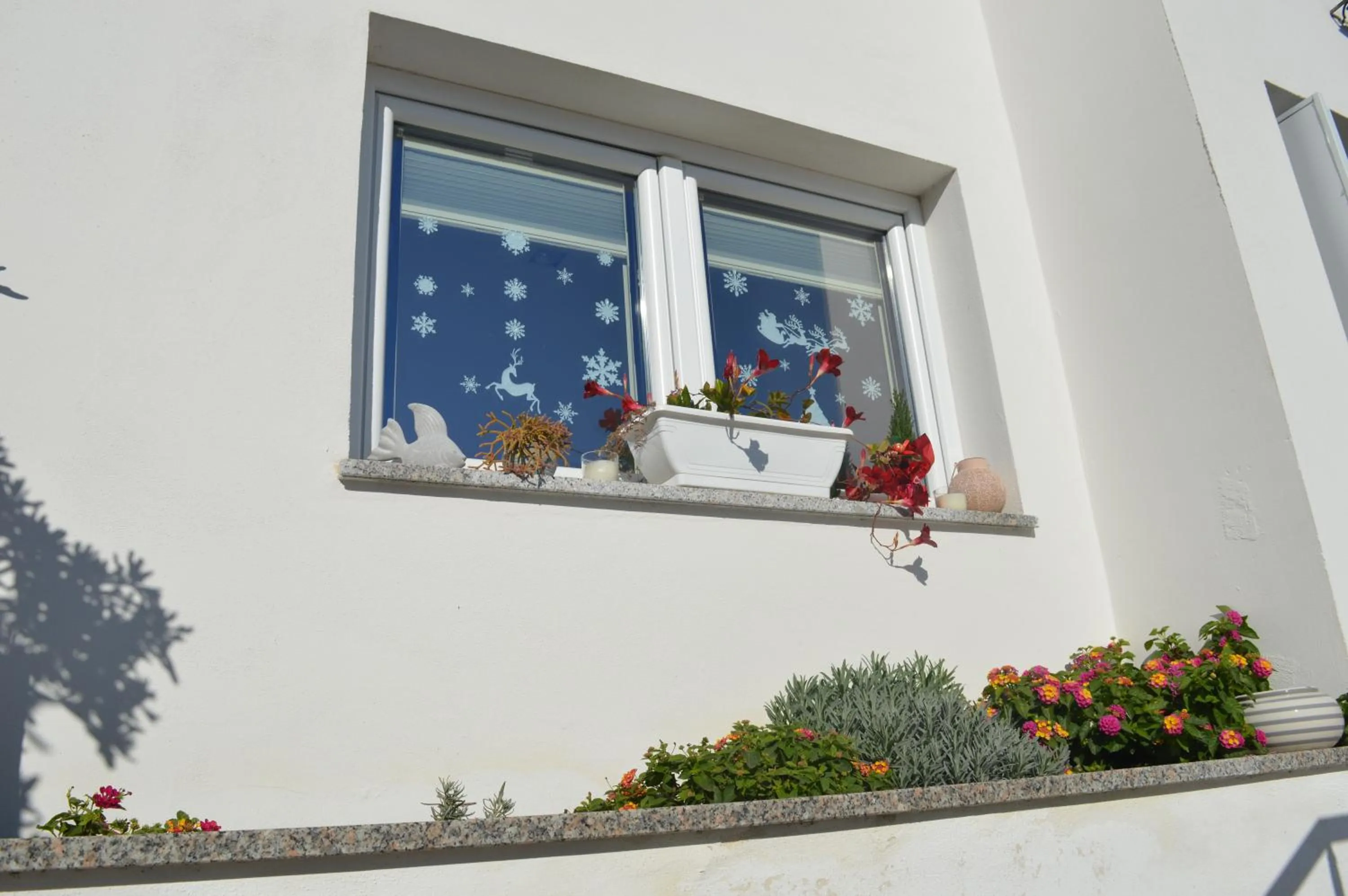 Bed and breakfast Villa Tota