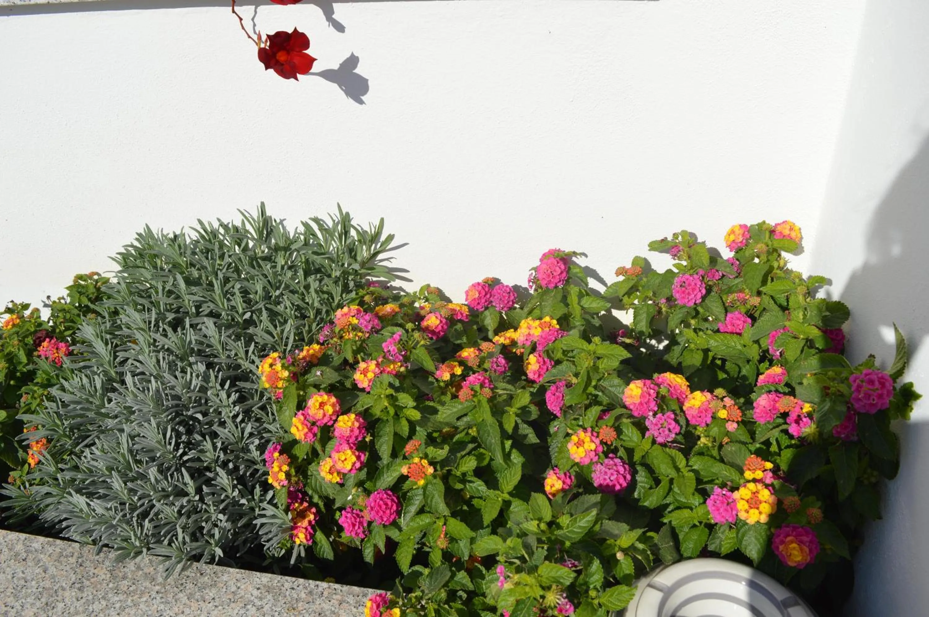 Bed and breakfast Villa Tota