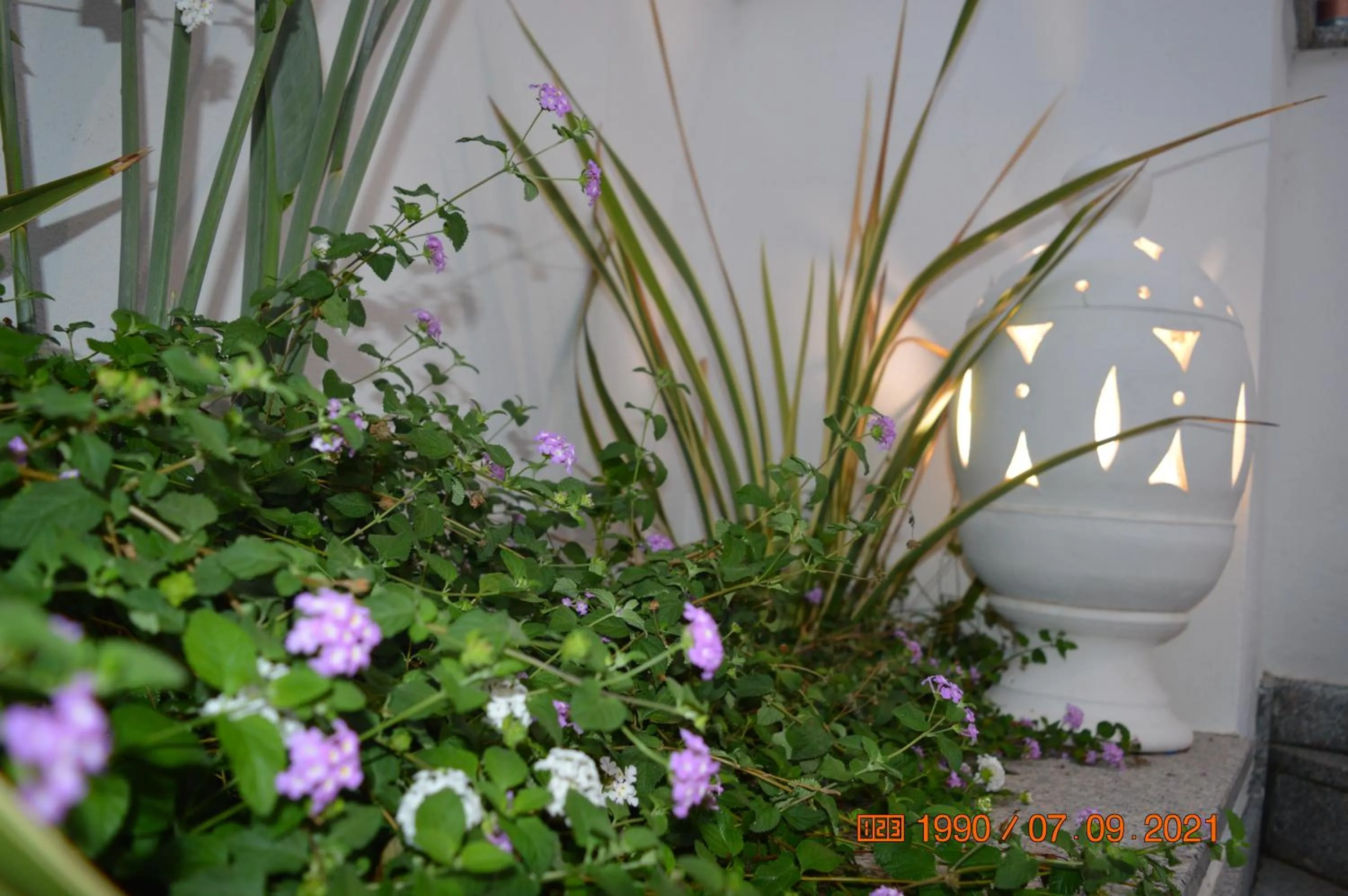 Garden in Bed and breakfast Villa Tota