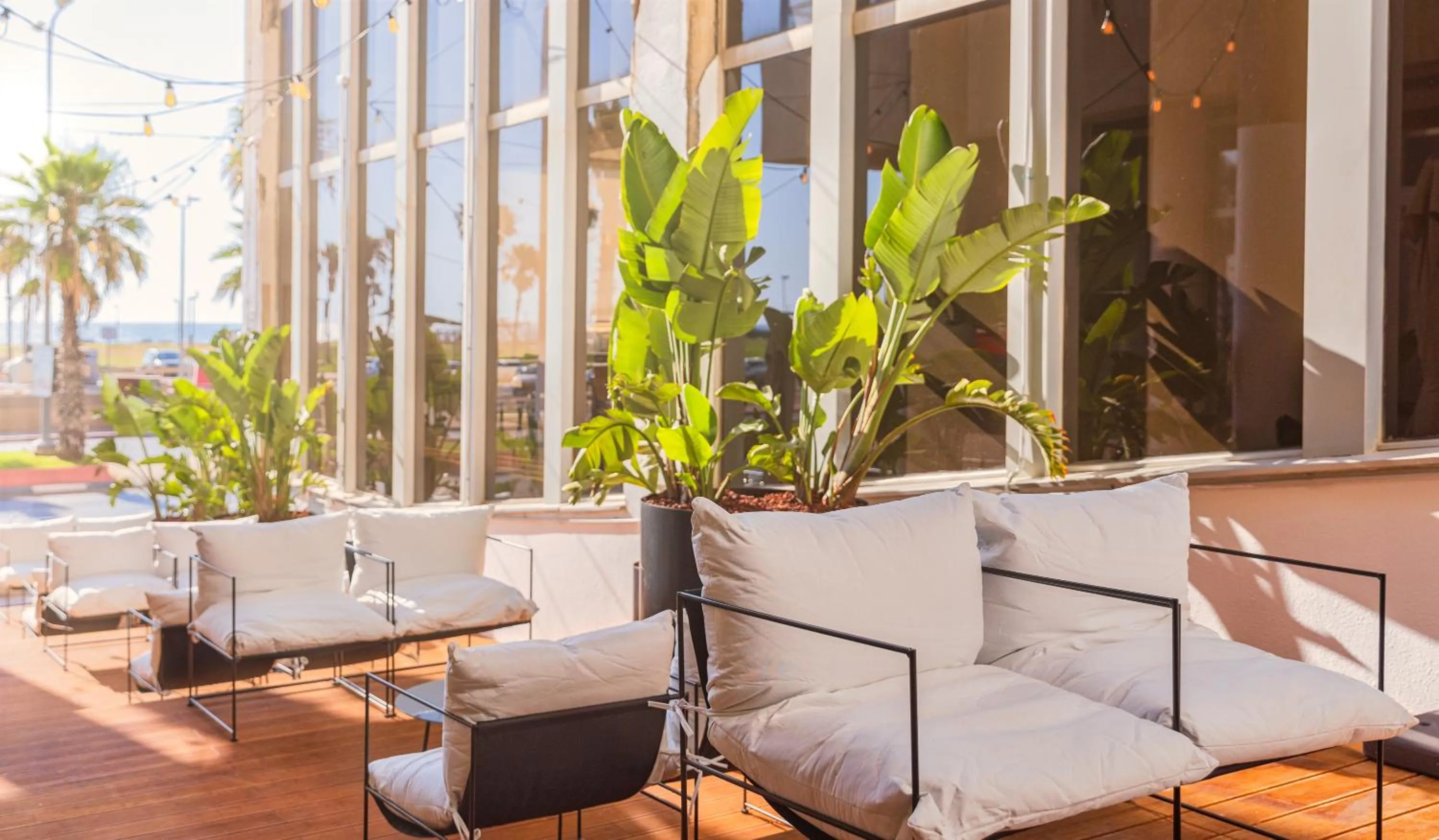 Garden in Brown Brut Seafront Hotel, a member of Brown Hotels