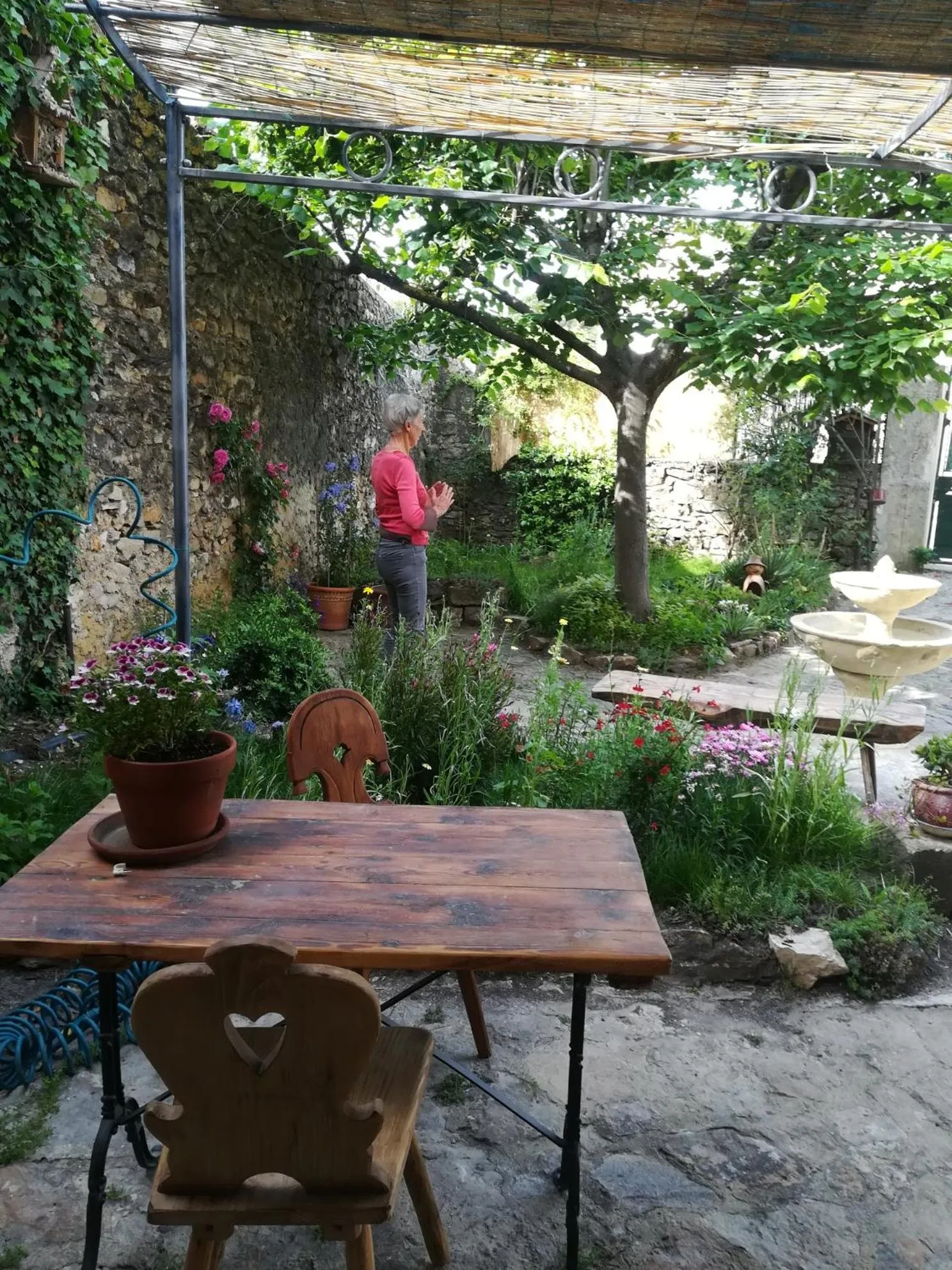 Garden in Mas d'Antan