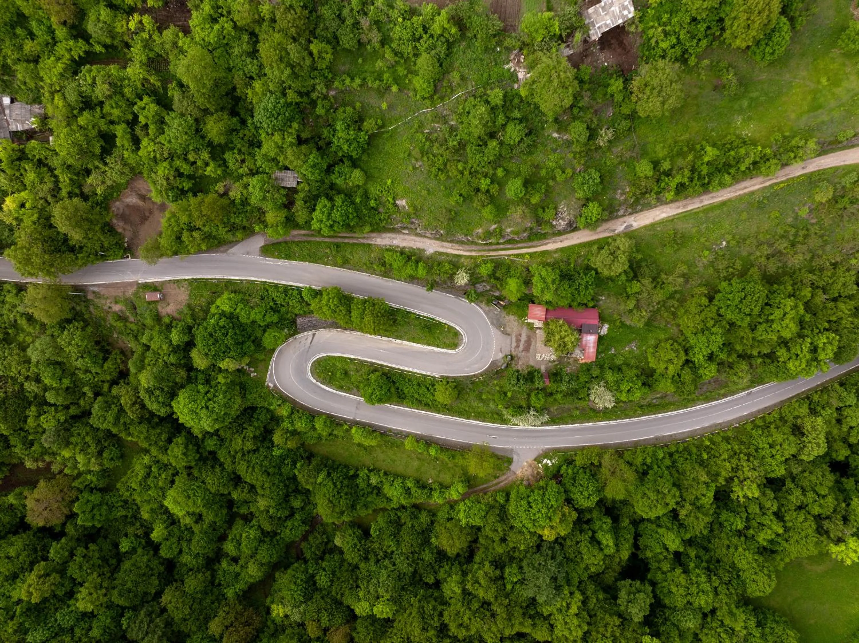 Neighbourhood in DiliVita Rest House