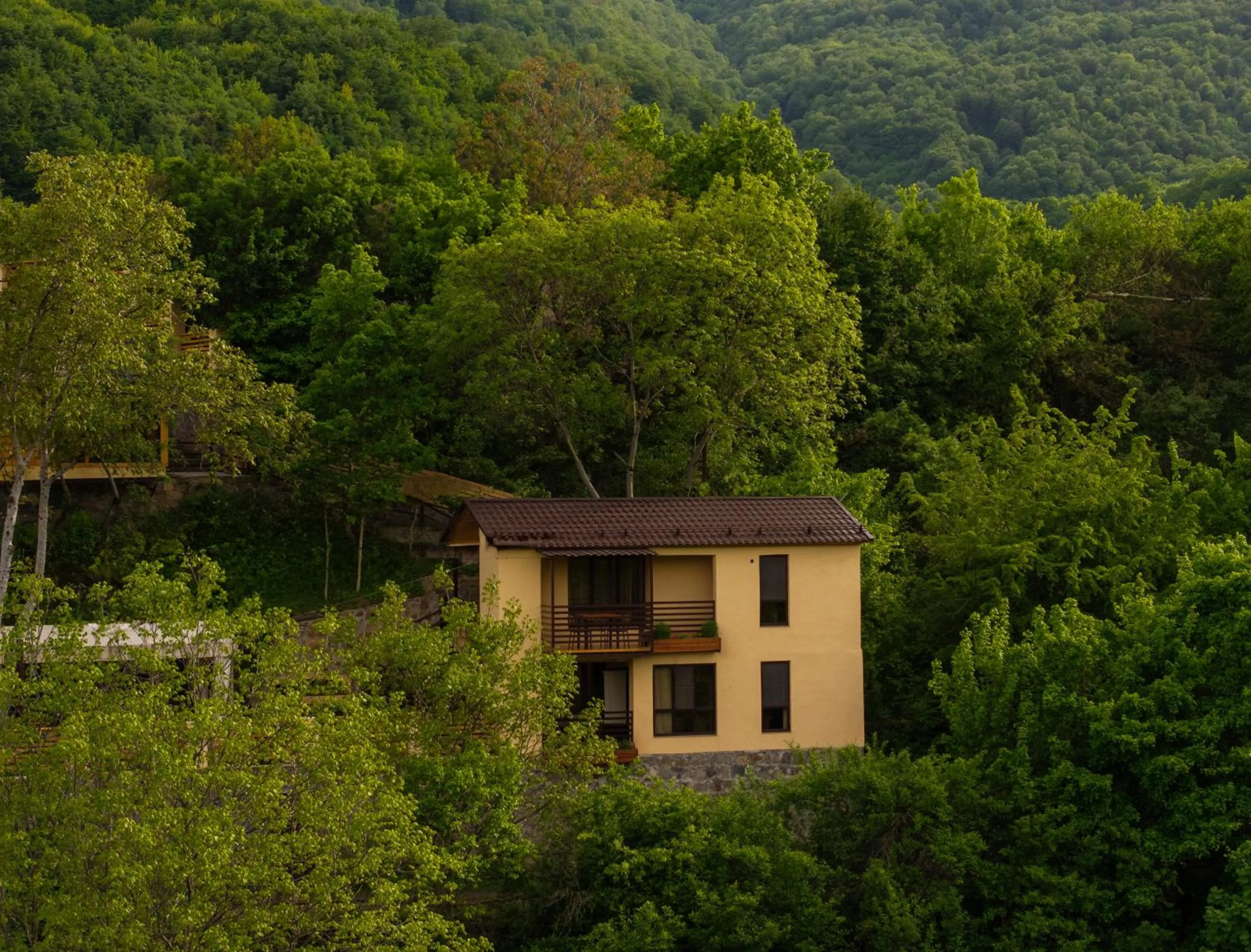 Mountain view in DiliVita Rest House