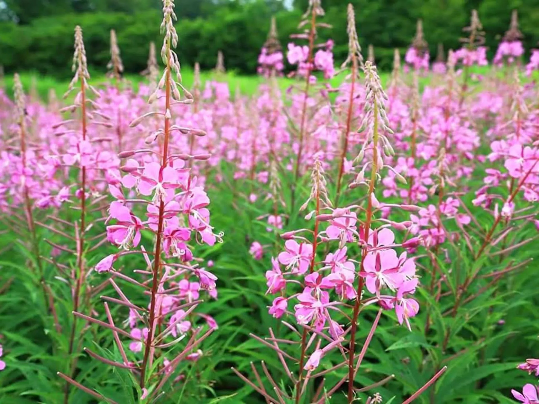 Oyado Fubuki - Vacation STAY 45512v