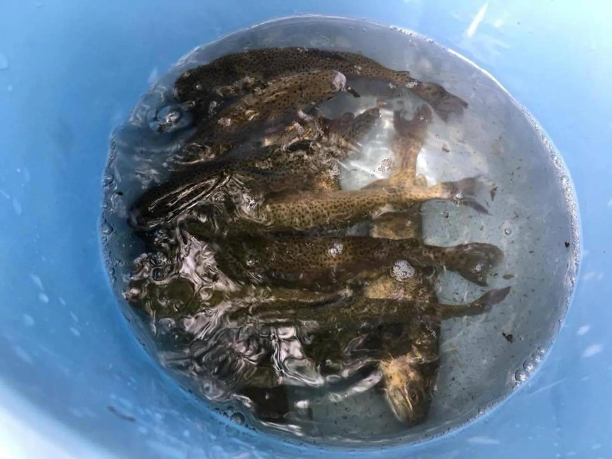 Oyado Fubuki - Vacation STAY 45515v