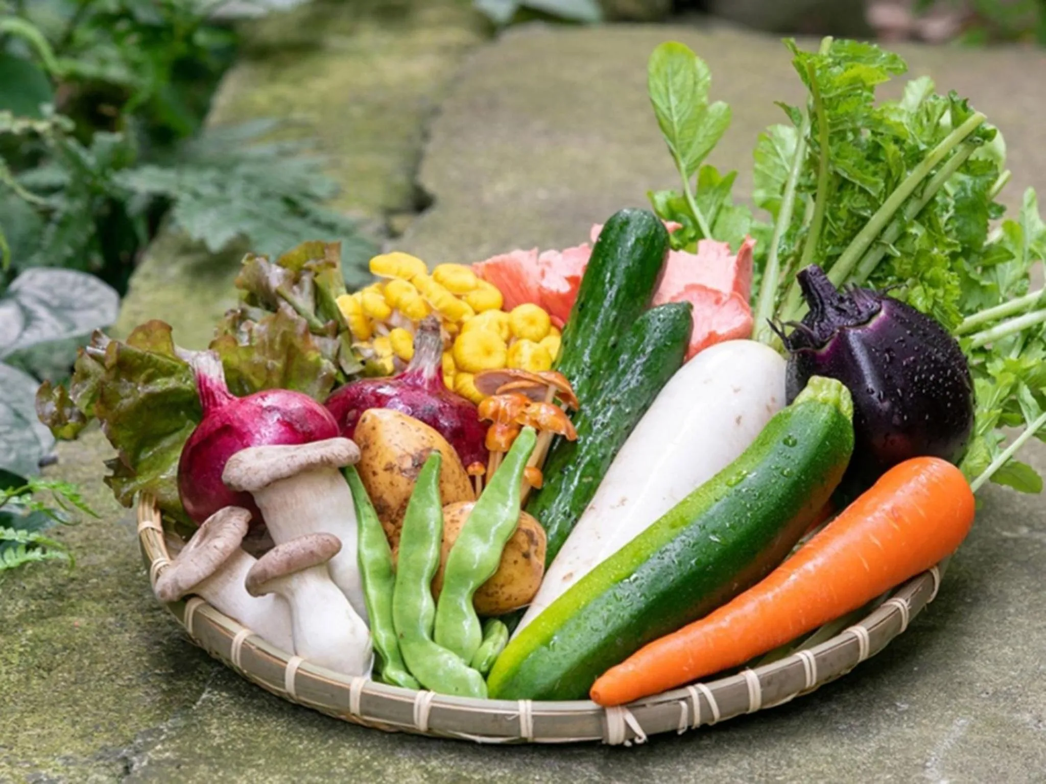 Oyado Fubuki - Vacation STAY 45515v