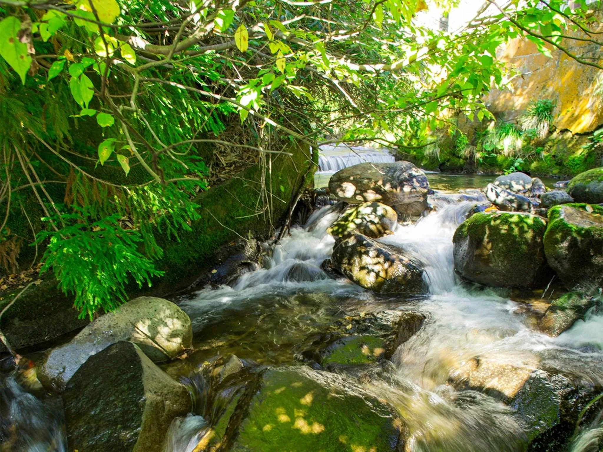 Oyado Fubuki - Vacation STAY 45506v