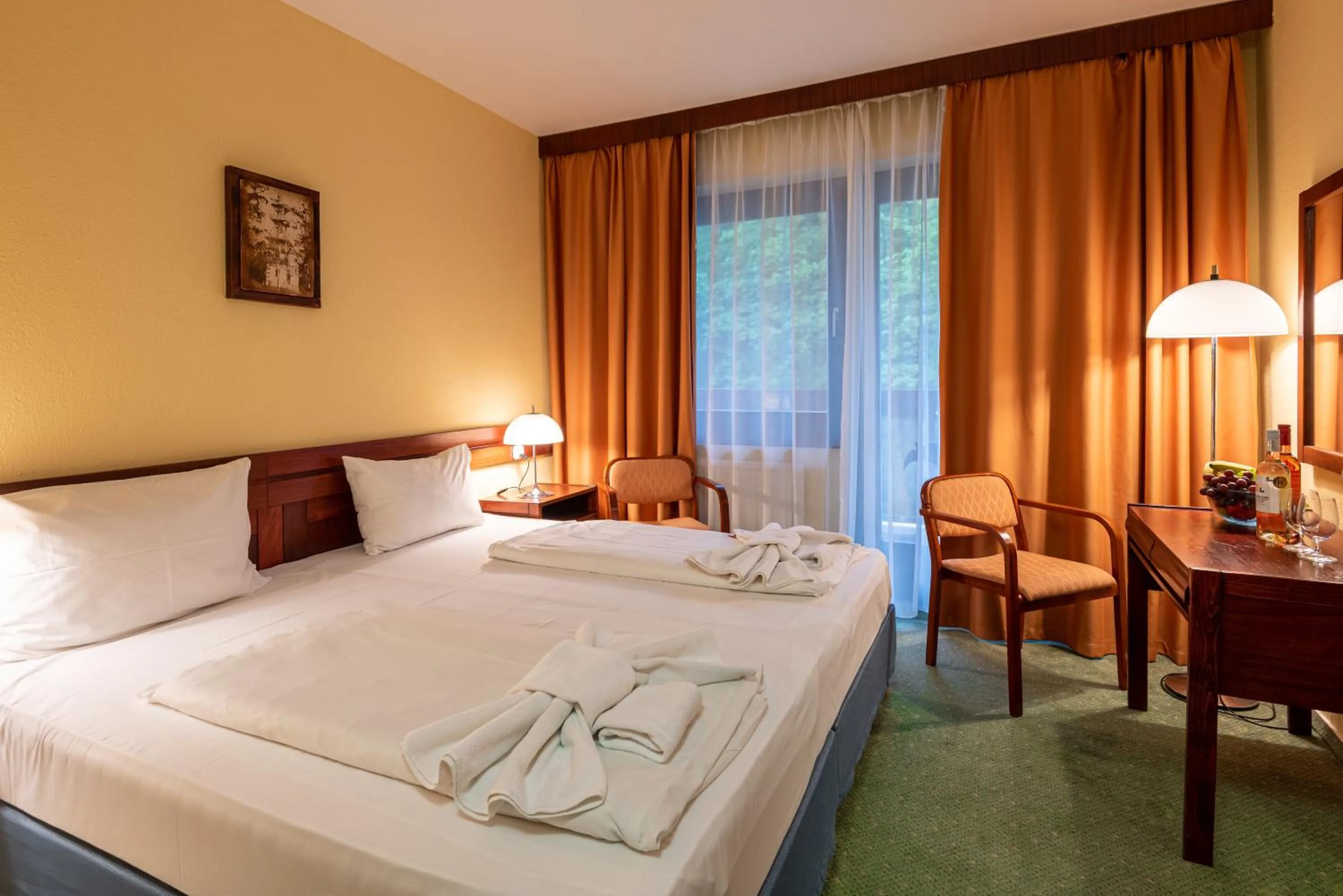 Photo of the whole room in Hotel Lövér Sopron