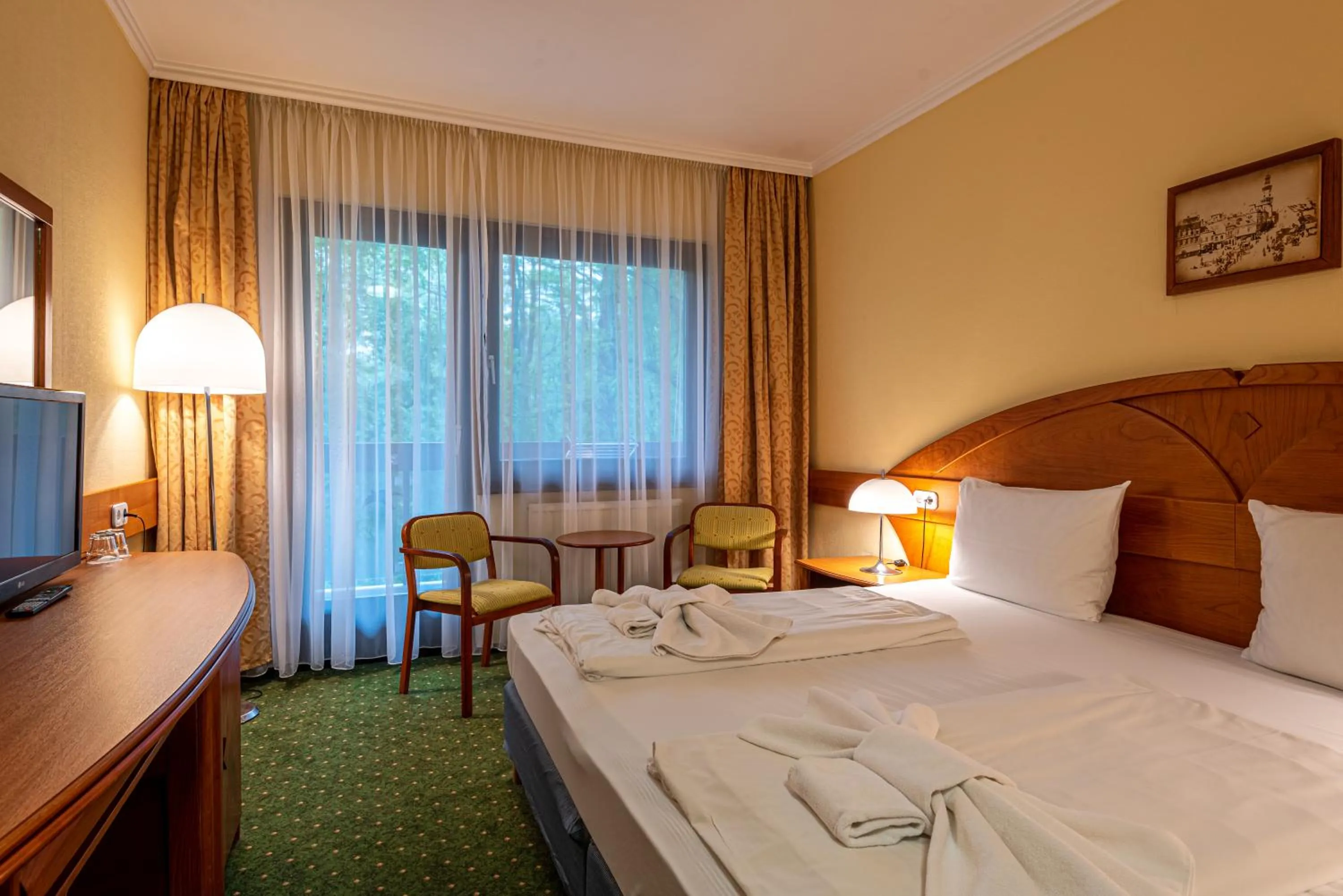 Photo of the whole room in Hotel Lövér Sopron