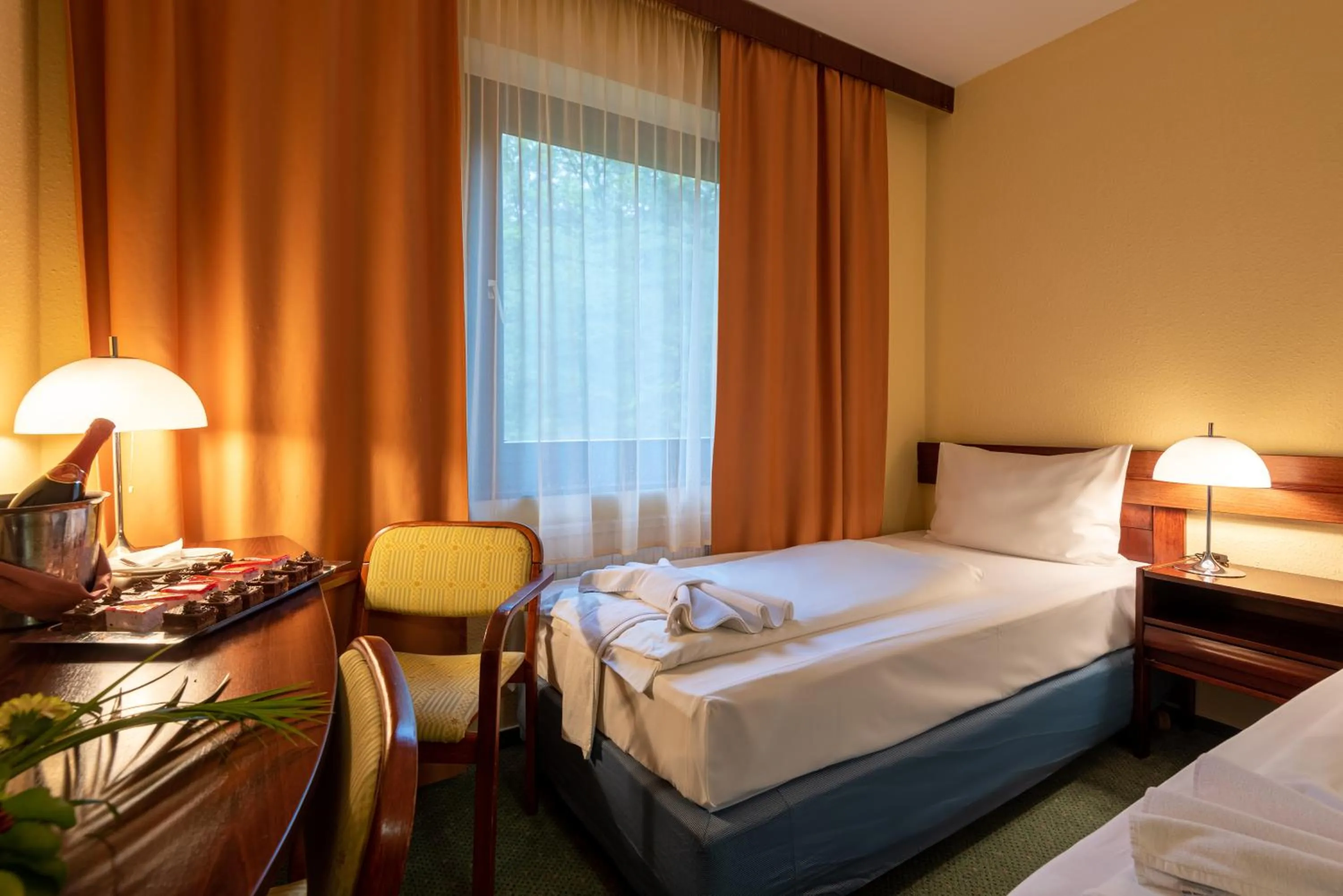 Photo of the whole room in Hotel Lövér Sopron