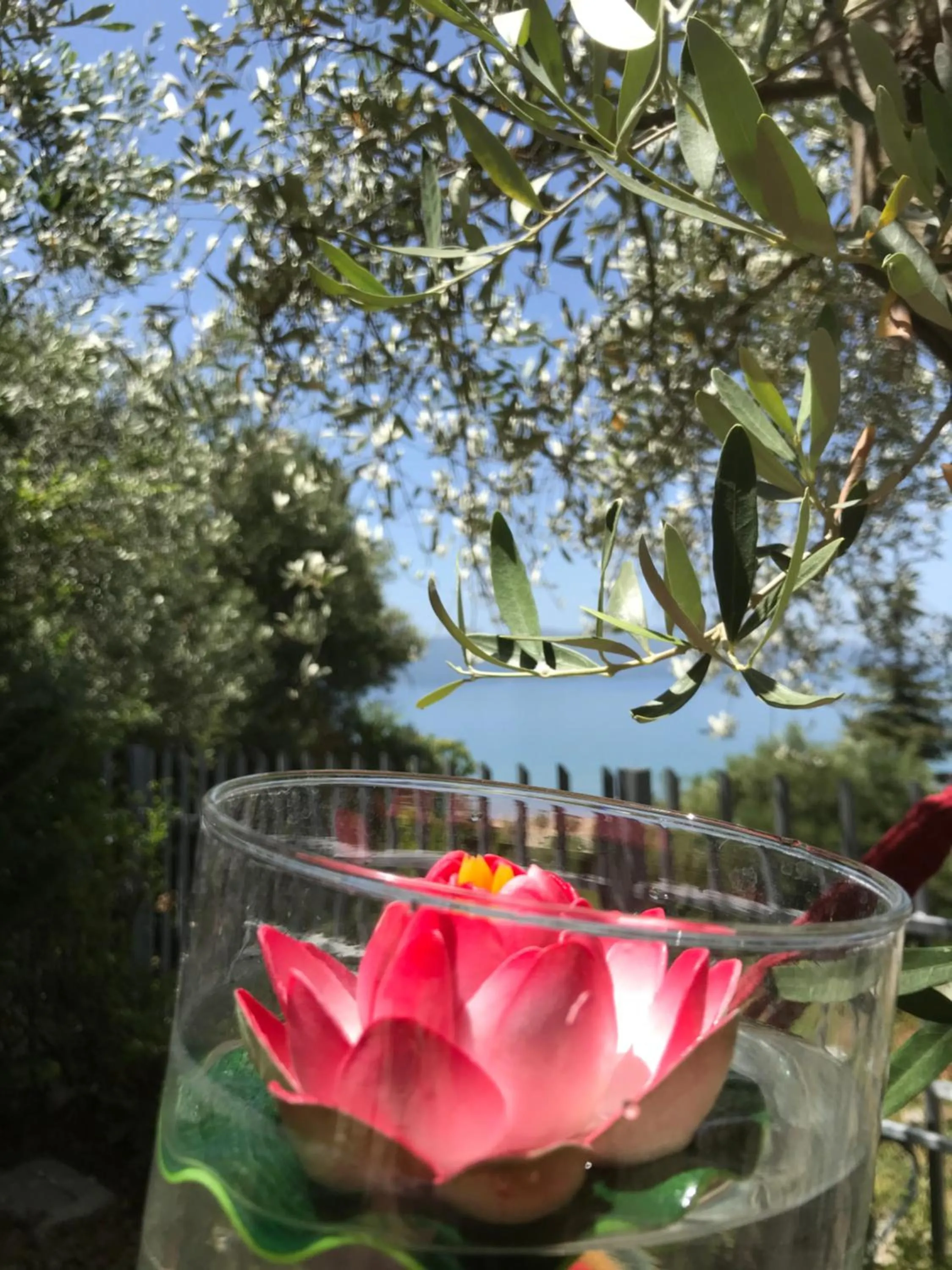 Drinks in Hotel SUNSET GL