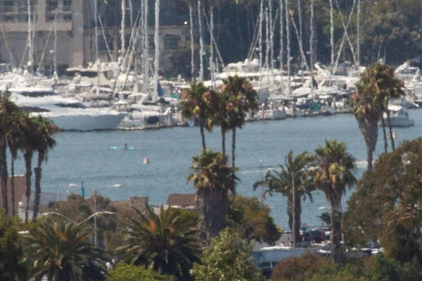 Day in Overlooking Marina del Rey sailboats, is Green Ginger Playa Del Rey on the bluff,