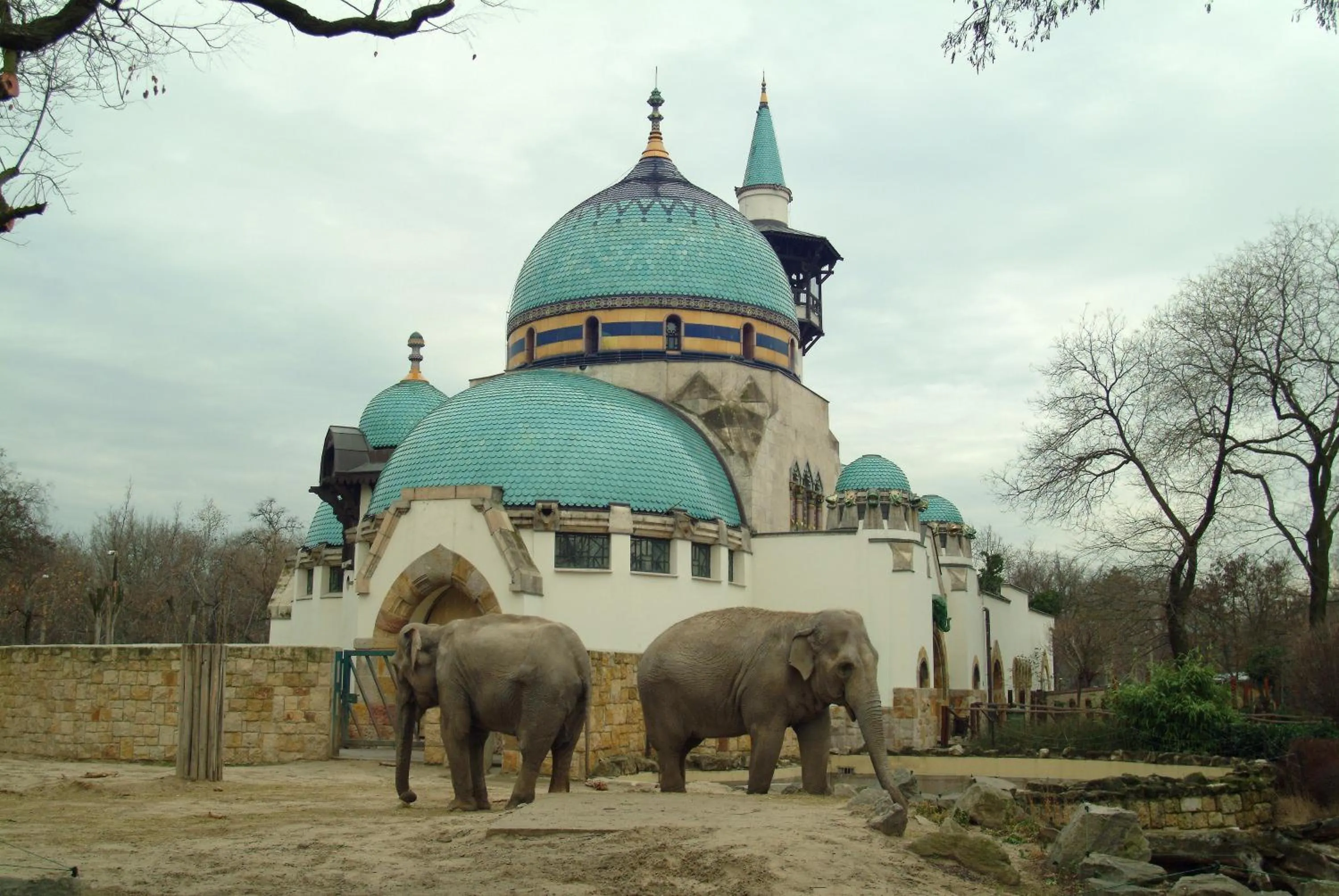 Area and facilities in Benczur Hotel