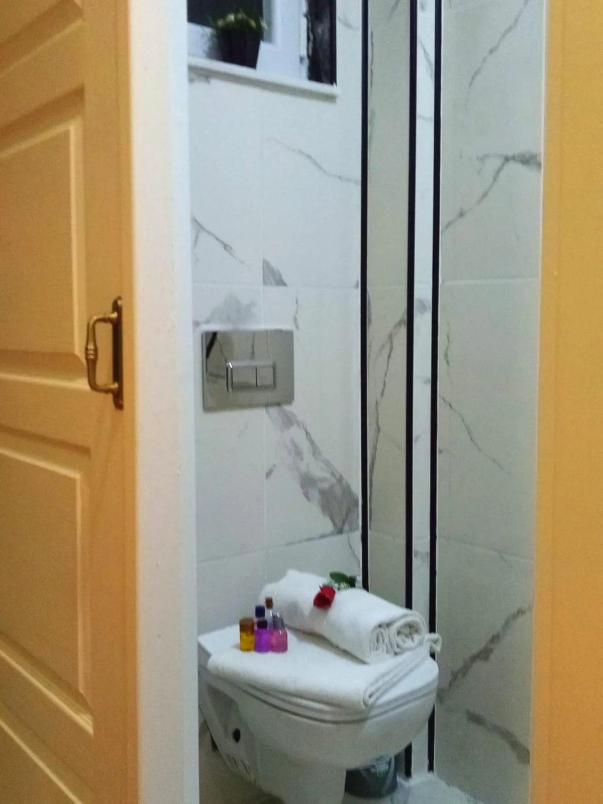 Toilet in sultanahmet musıc house