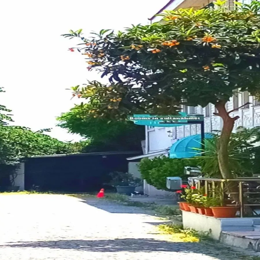 Property building in sultanahmet musıc house