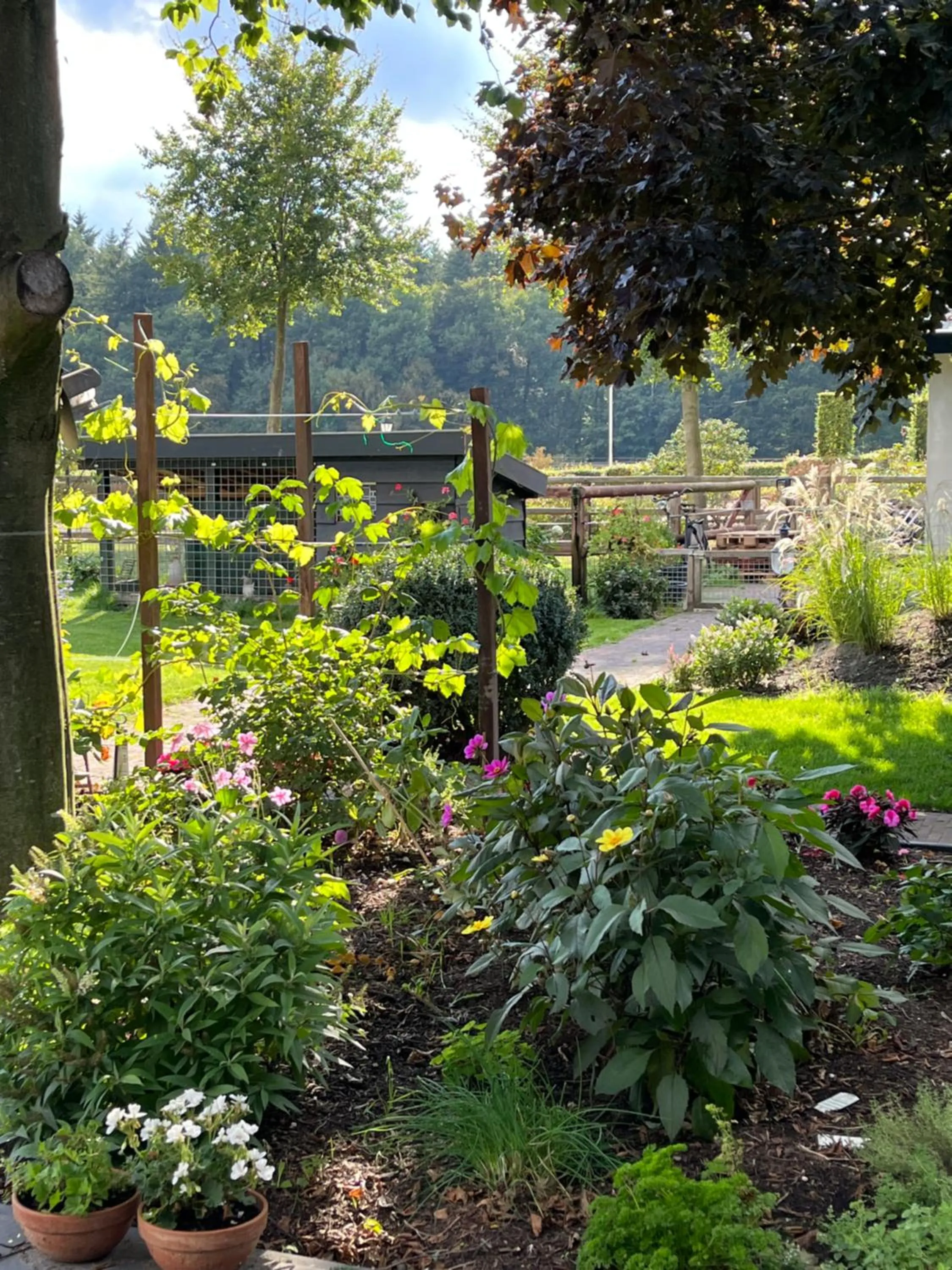 Garden in B&B 't Speulderbos