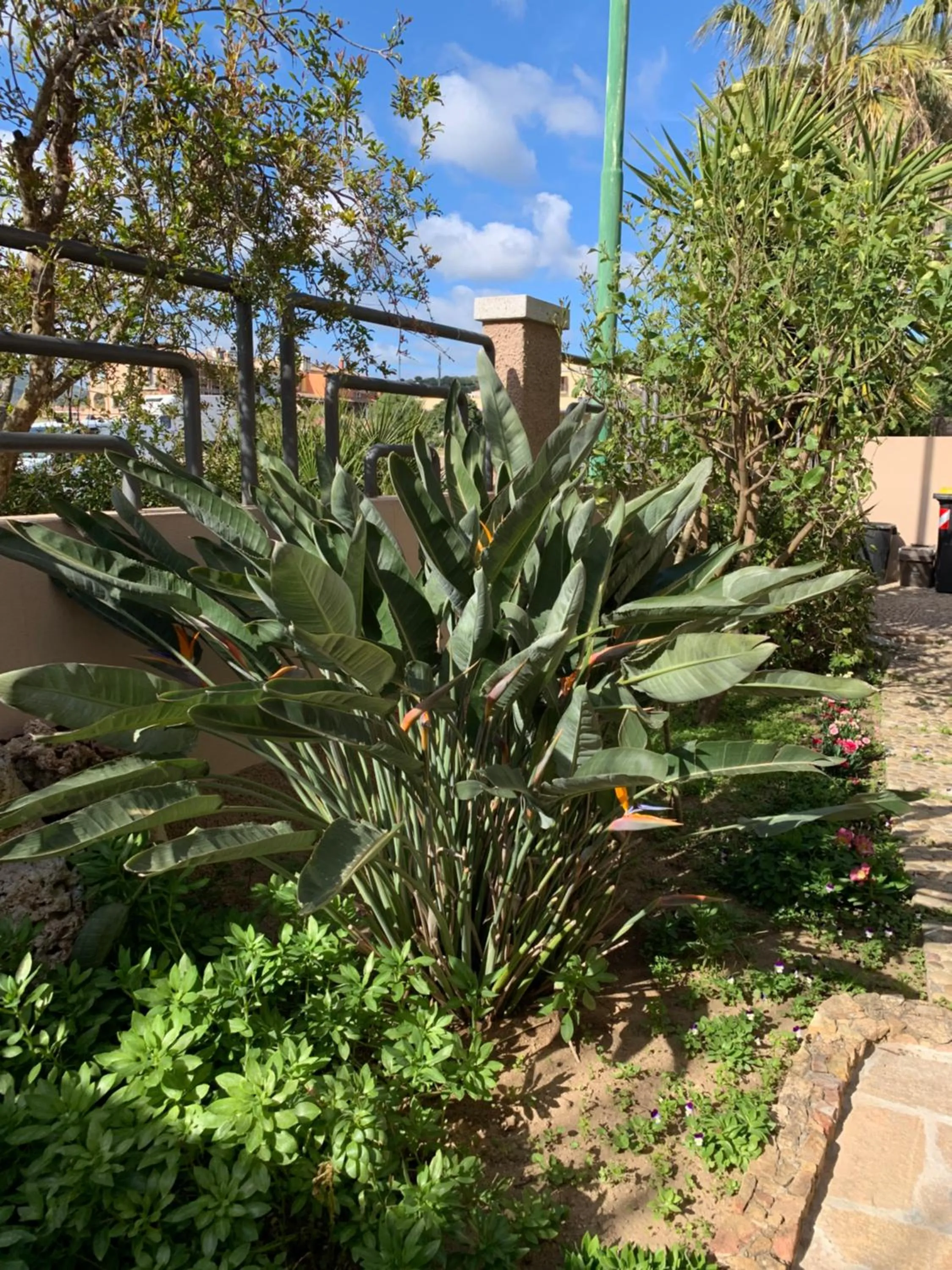 Garden in B&B Bentu de Mari