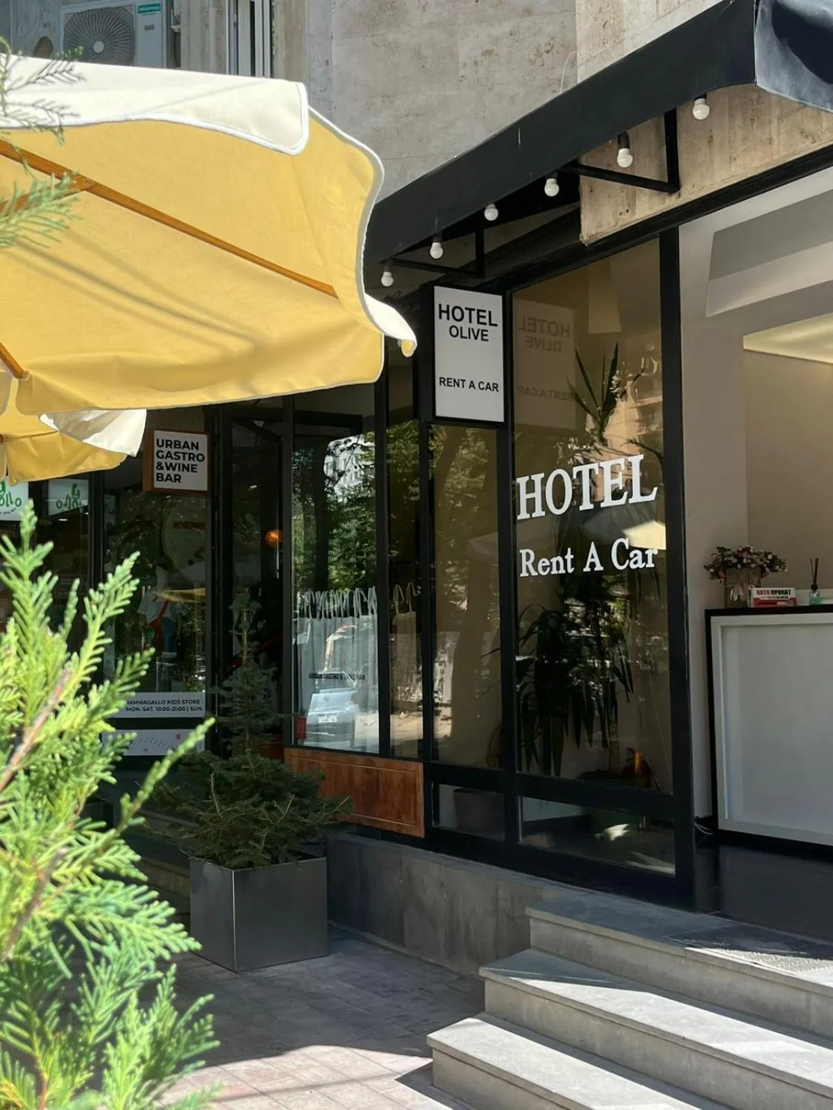 Olive hotel