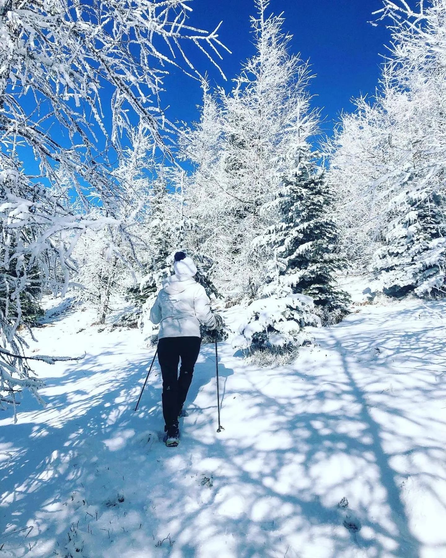 Winter in Hotel Perdrix