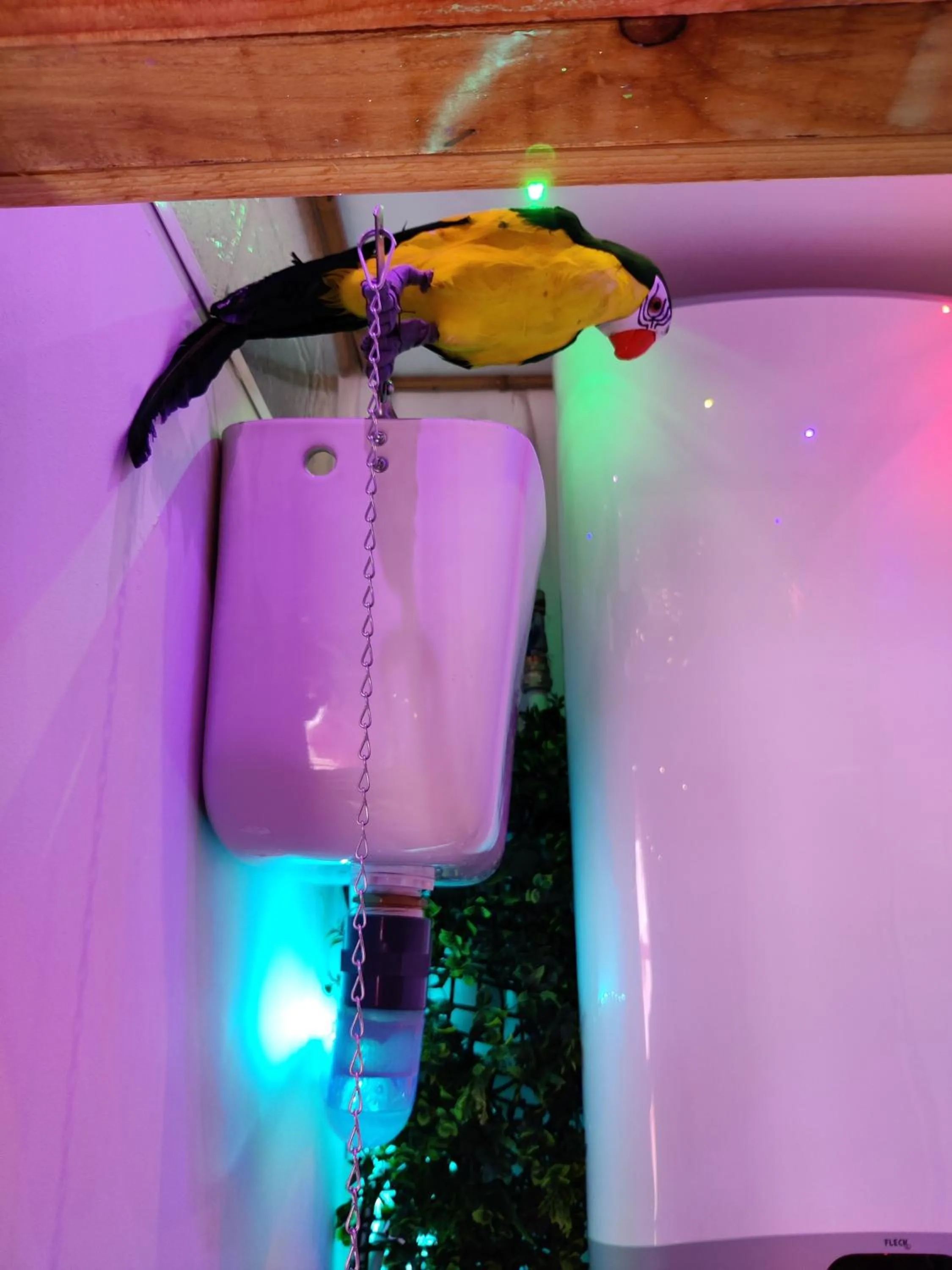 Bathroom in Wonder Room Paraiso Magico Habitacion a 2 min de la playa