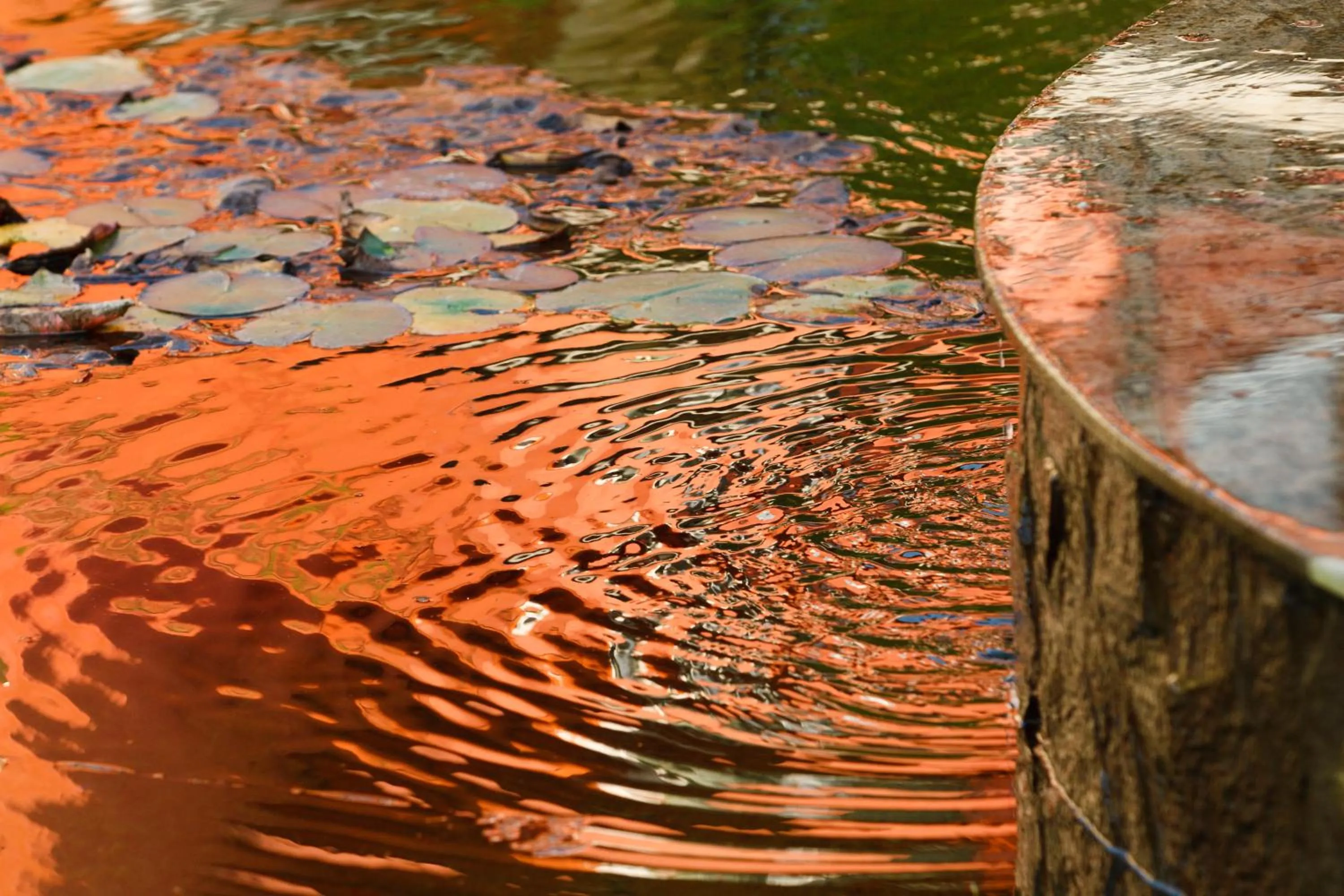 Other in Szőnyi Garden Hotel Pest
