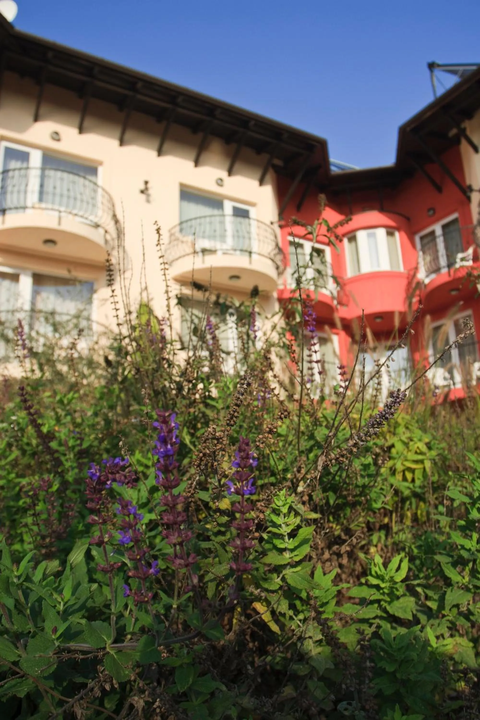 Property building in Szőnyi Garden Hotel Pest
