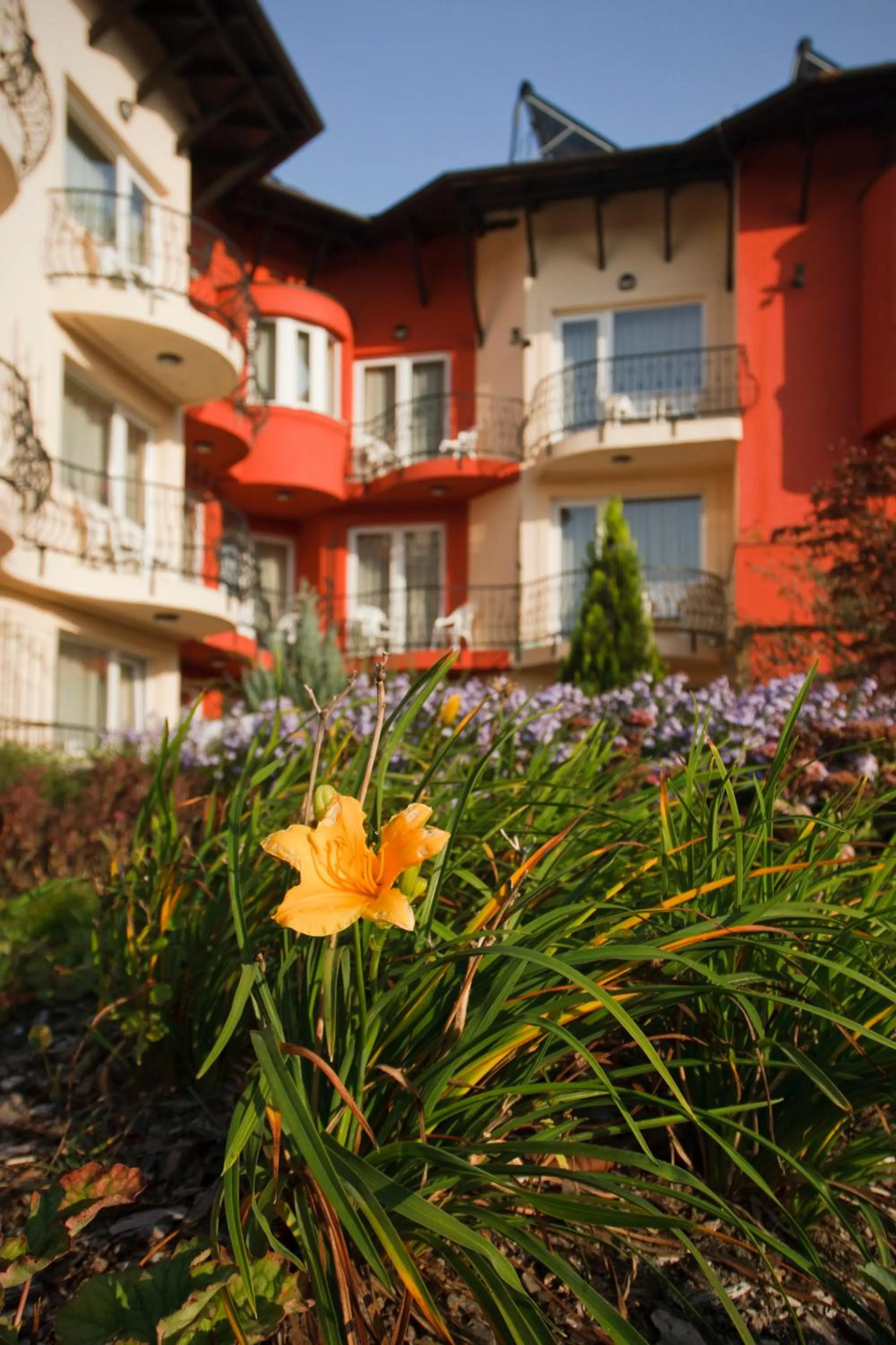 Summer in Szőnyi Garden Hotel Pest