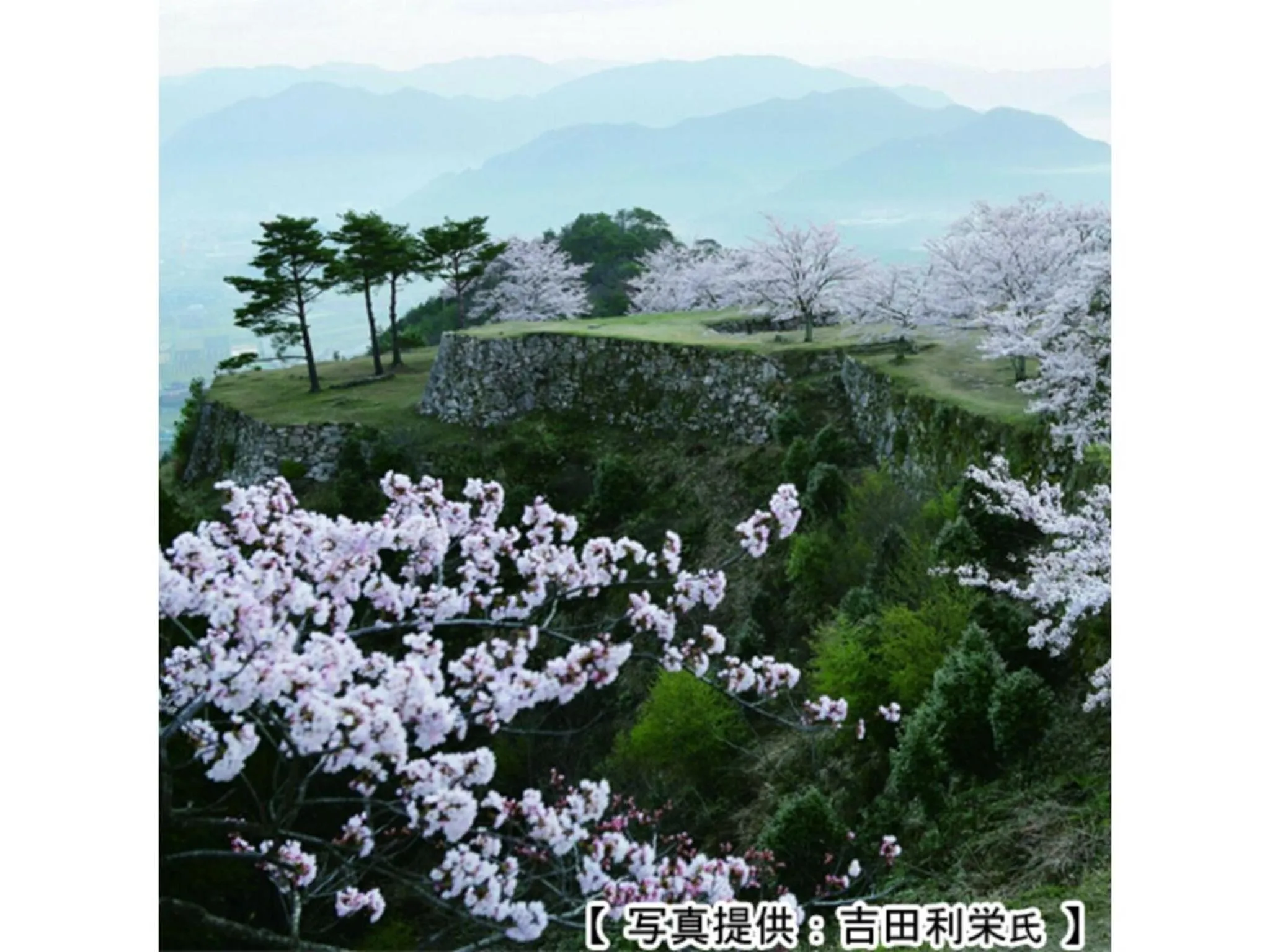 Pure Hotel - Vacation STAY 44183v