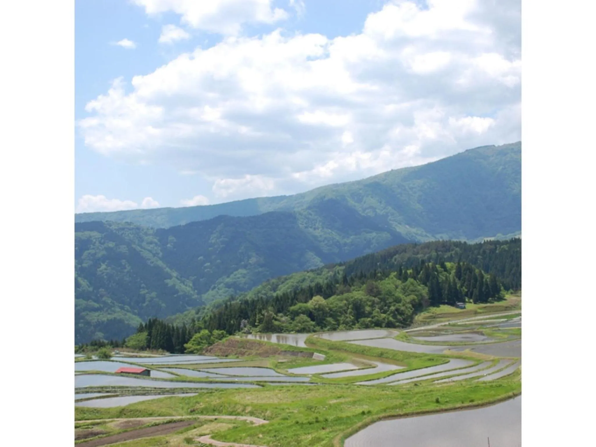 Pure Hotel - Vacation STAY 44183v