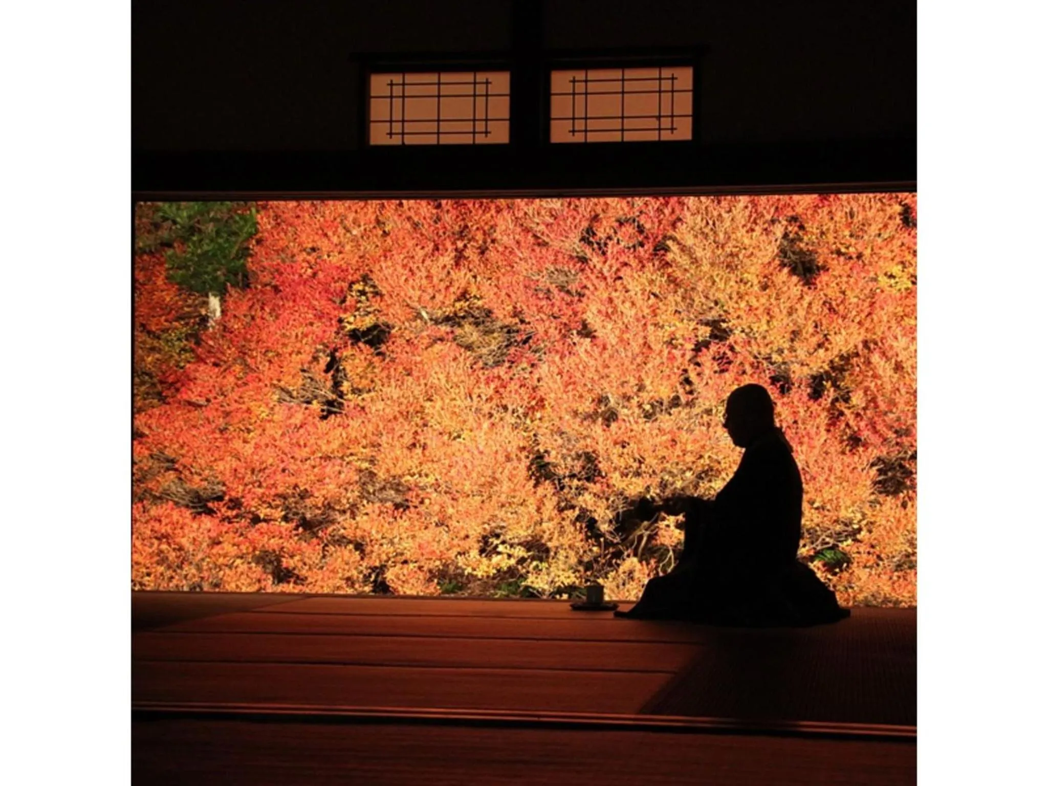 Pure Hotel - Vacation STAY 44187v