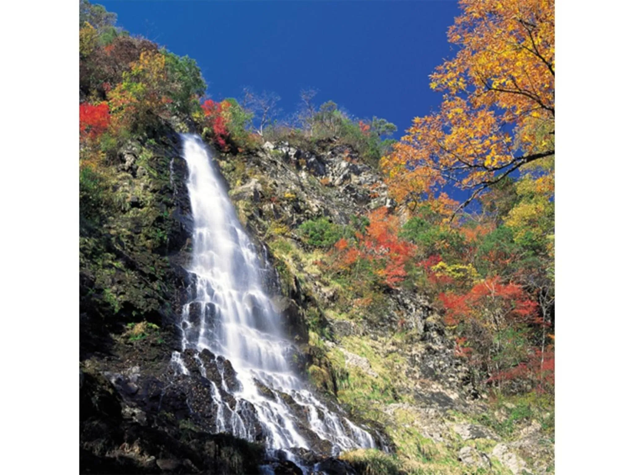 Pure Hotel - Vacation STAY 44187v