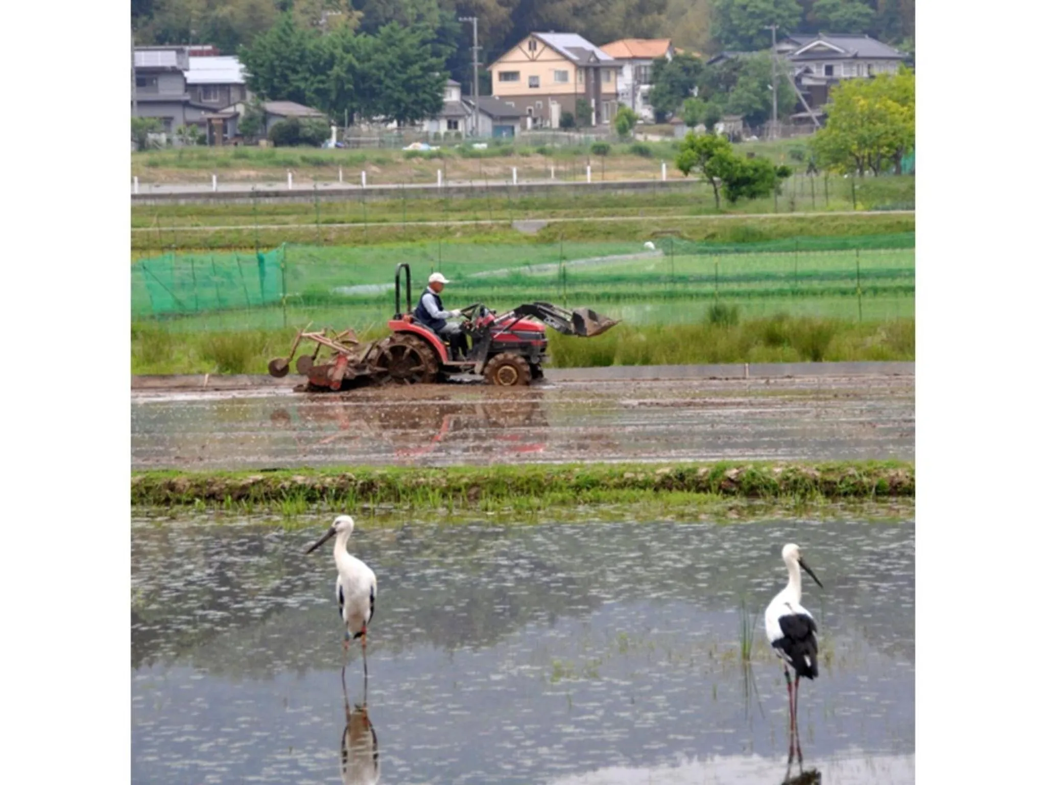 Pure Hotel - Vacation STAY 44187v