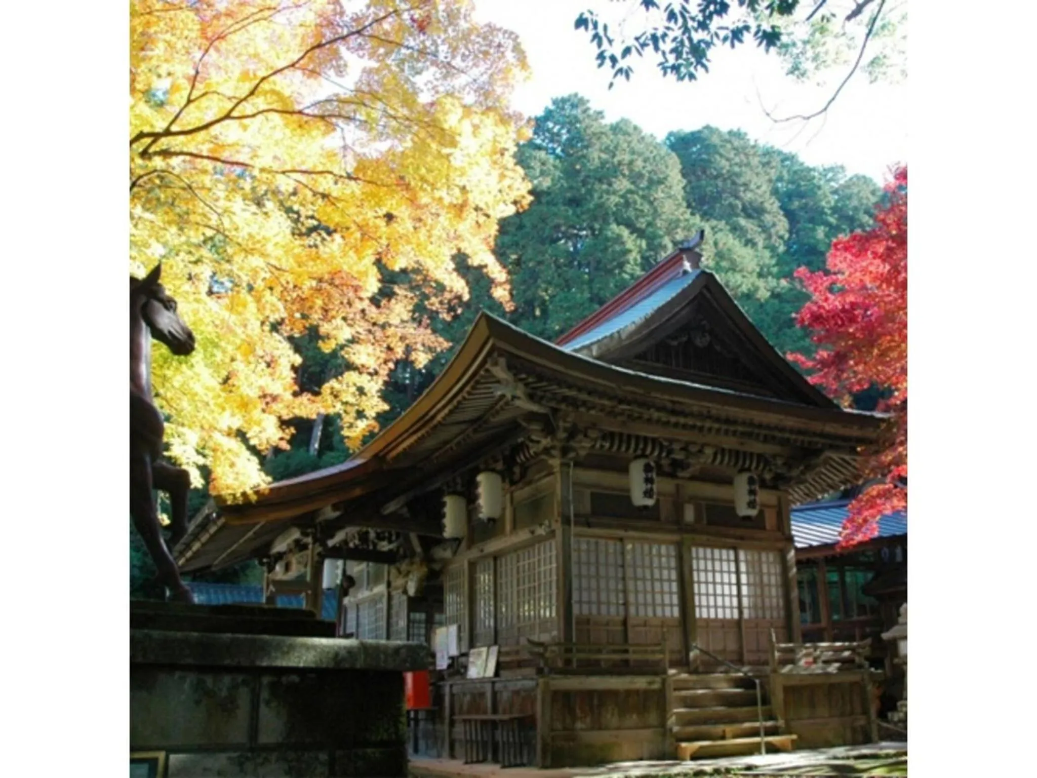 Pure Hotel - Vacation STAY 44177v