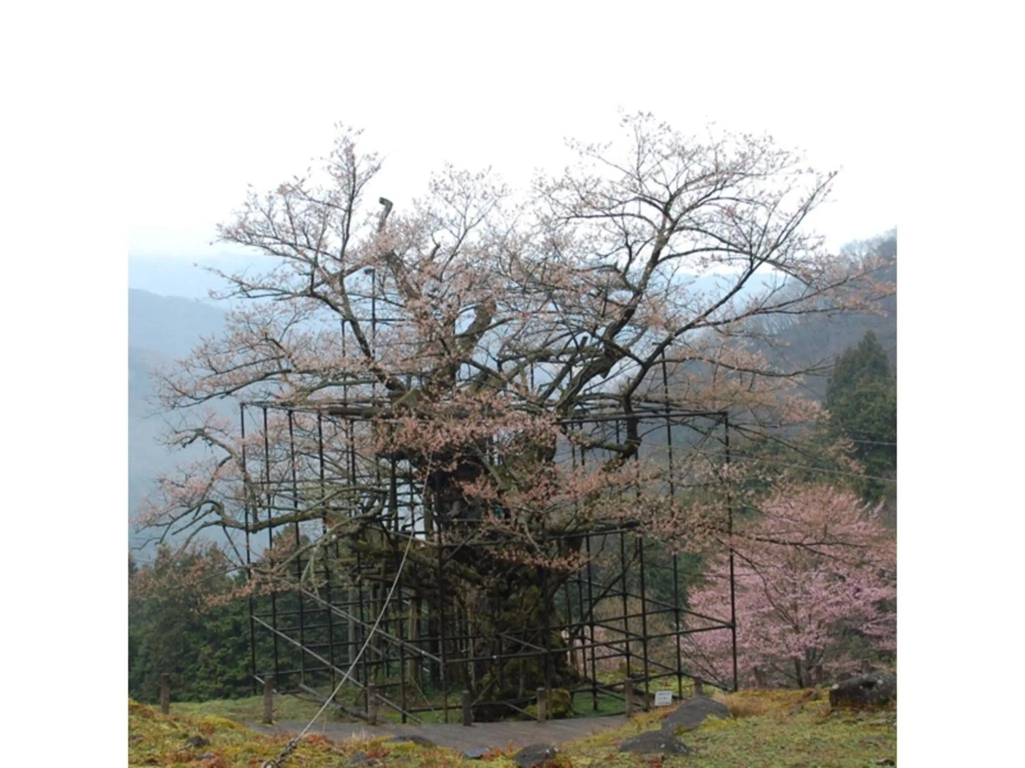 Pure Hotel - Vacation STAY 44177v