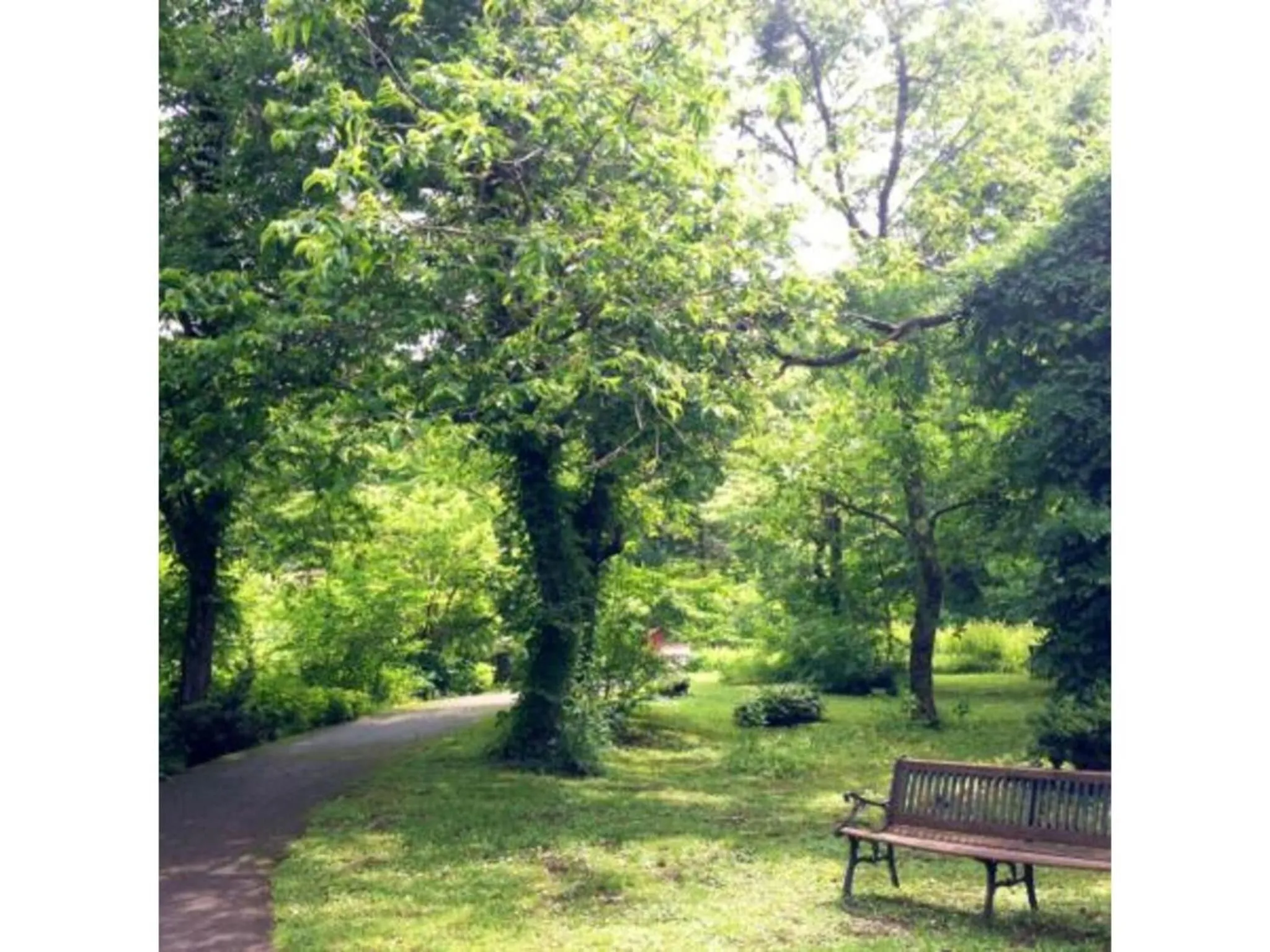 Pure Hotel - Vacation STAY 44177v