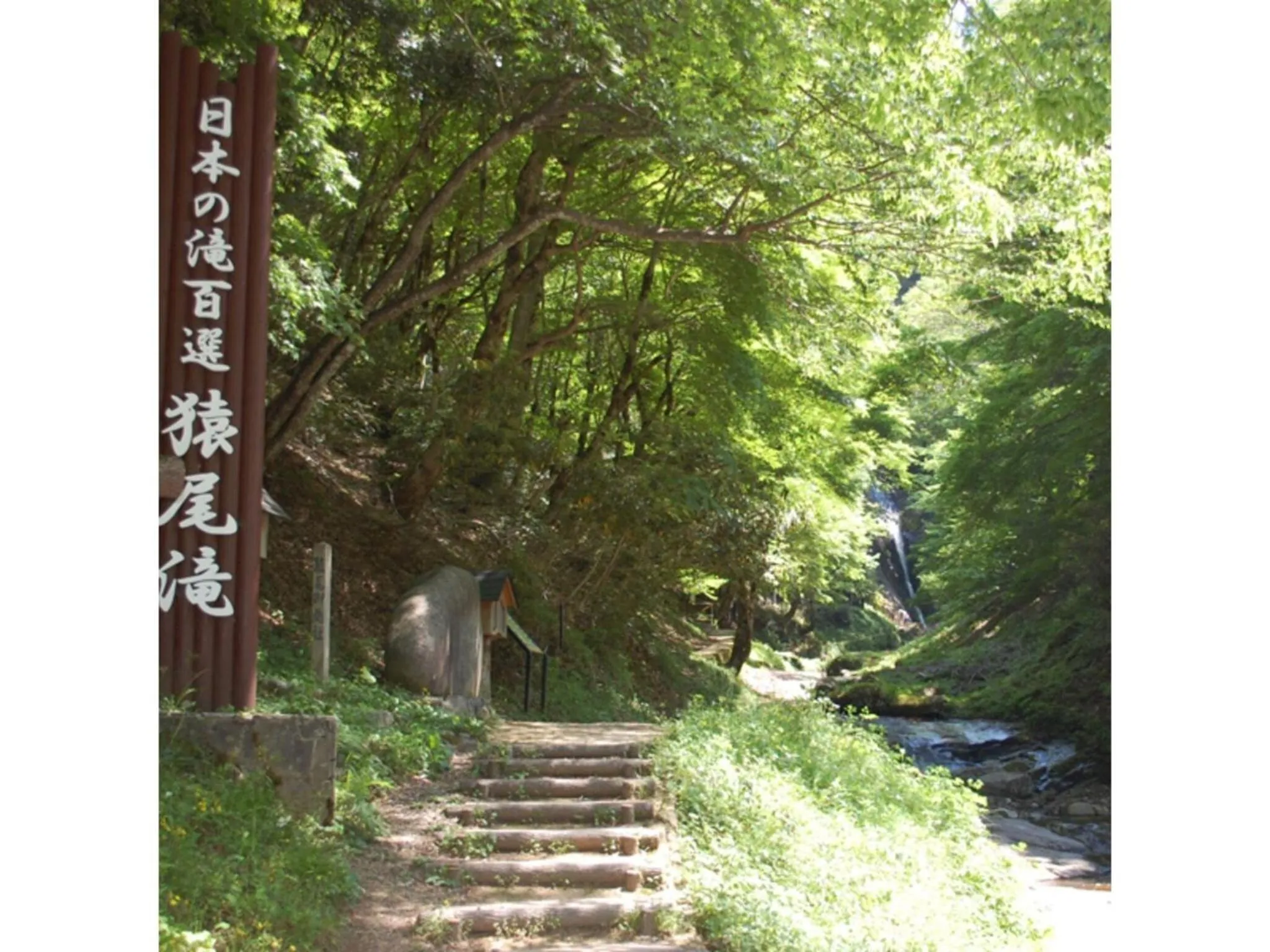 Pure Hotel - Vacation STAY 44177v