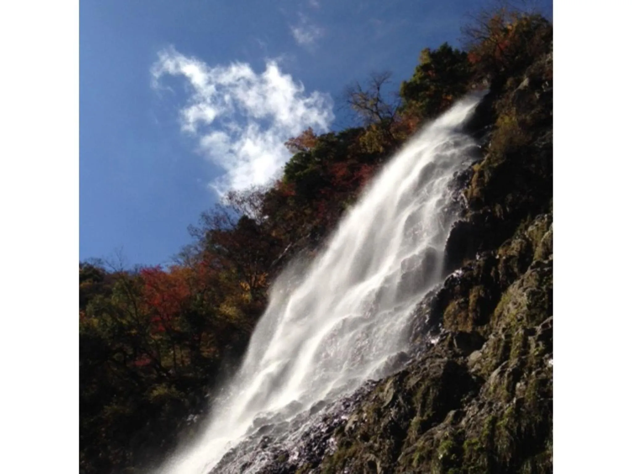 Pure Hotel - Vacation STAY 44177v