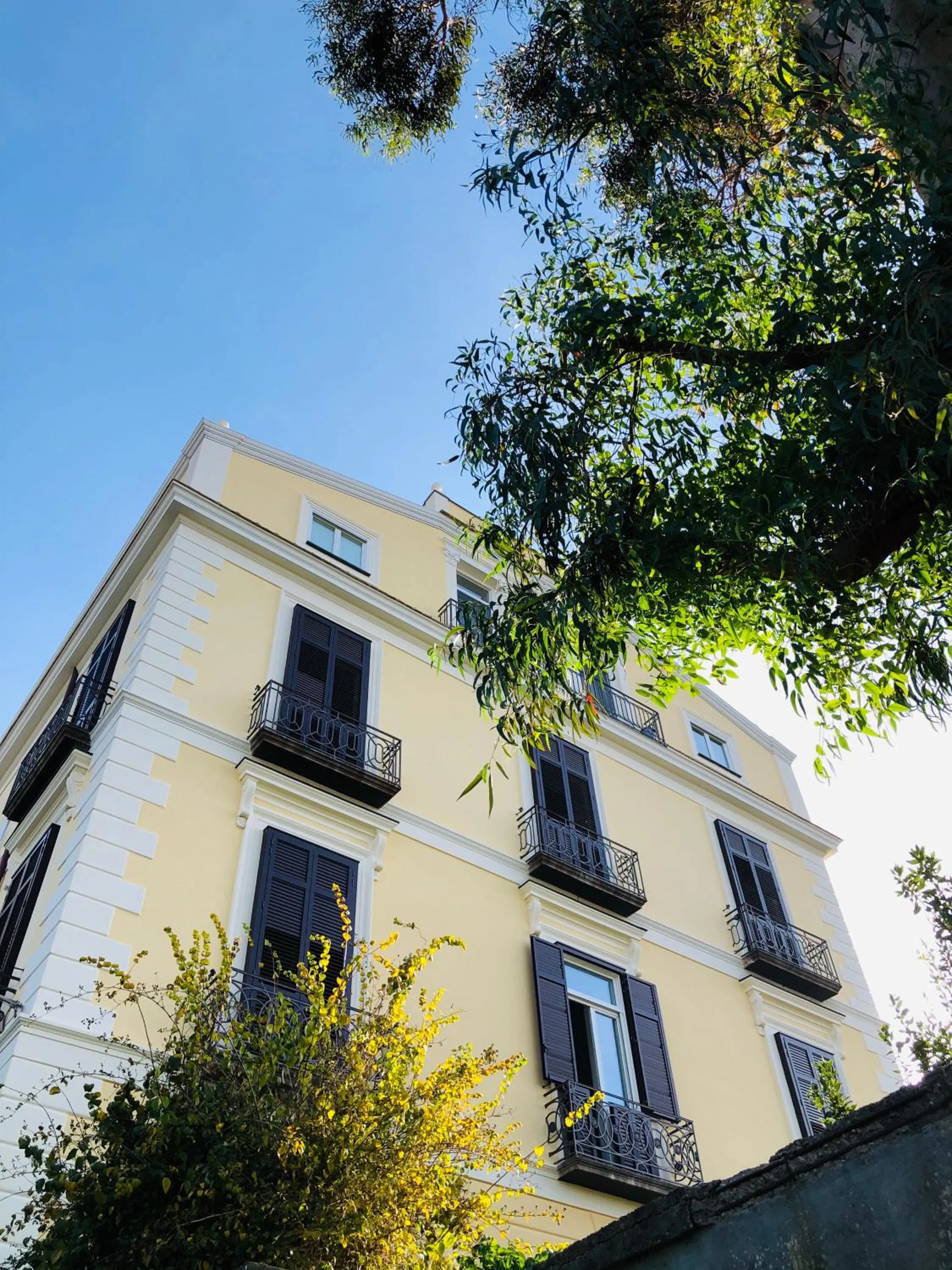 Property building in Lux Aurea