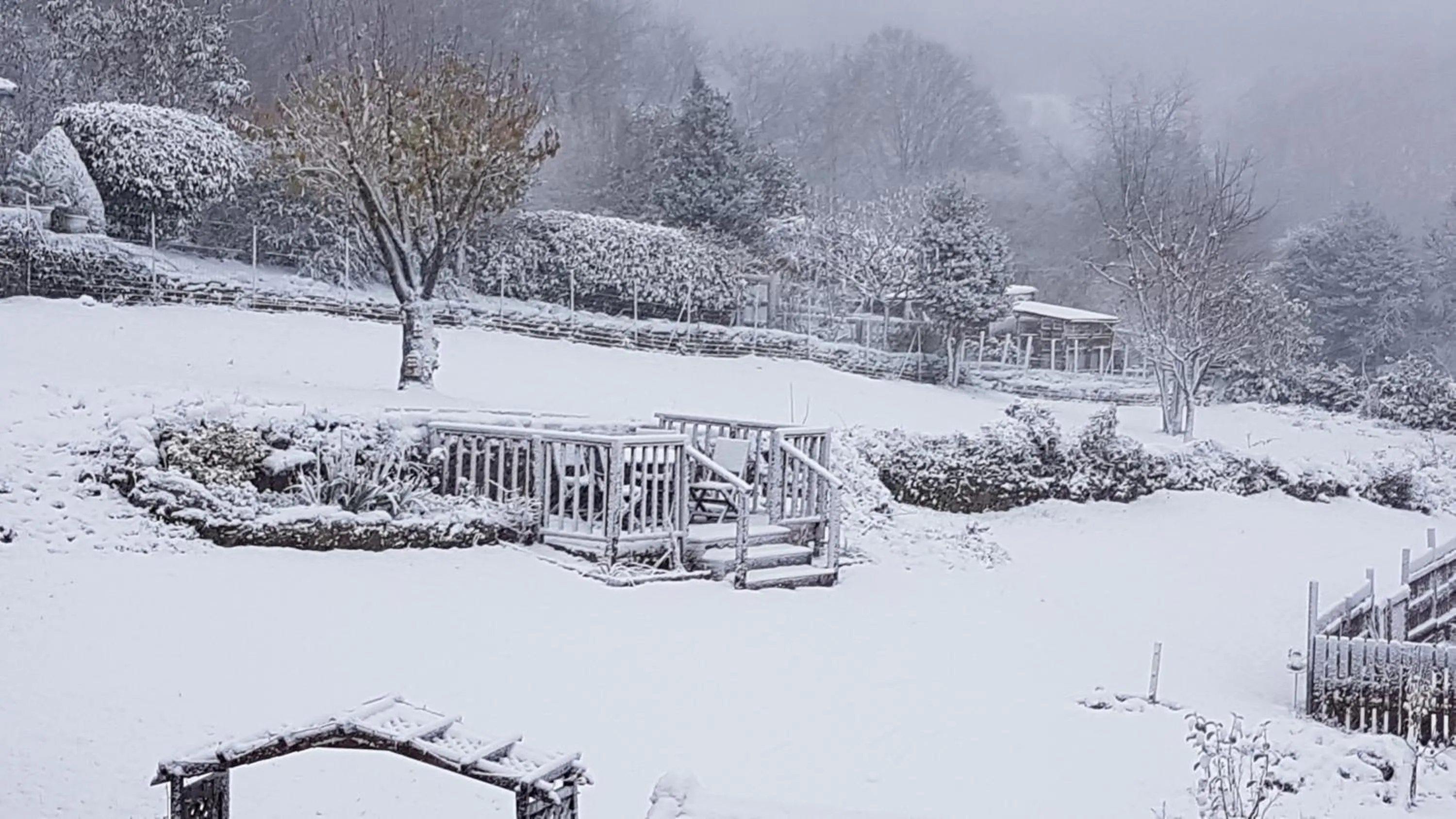 Garden in Sycamore House